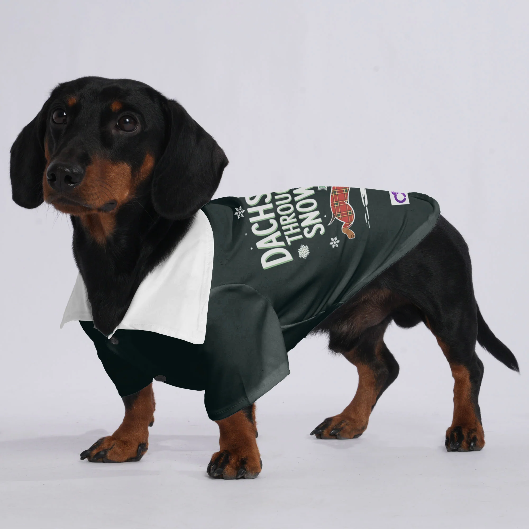 Abby - Hawaiian Shirt for Doxies - Image 2