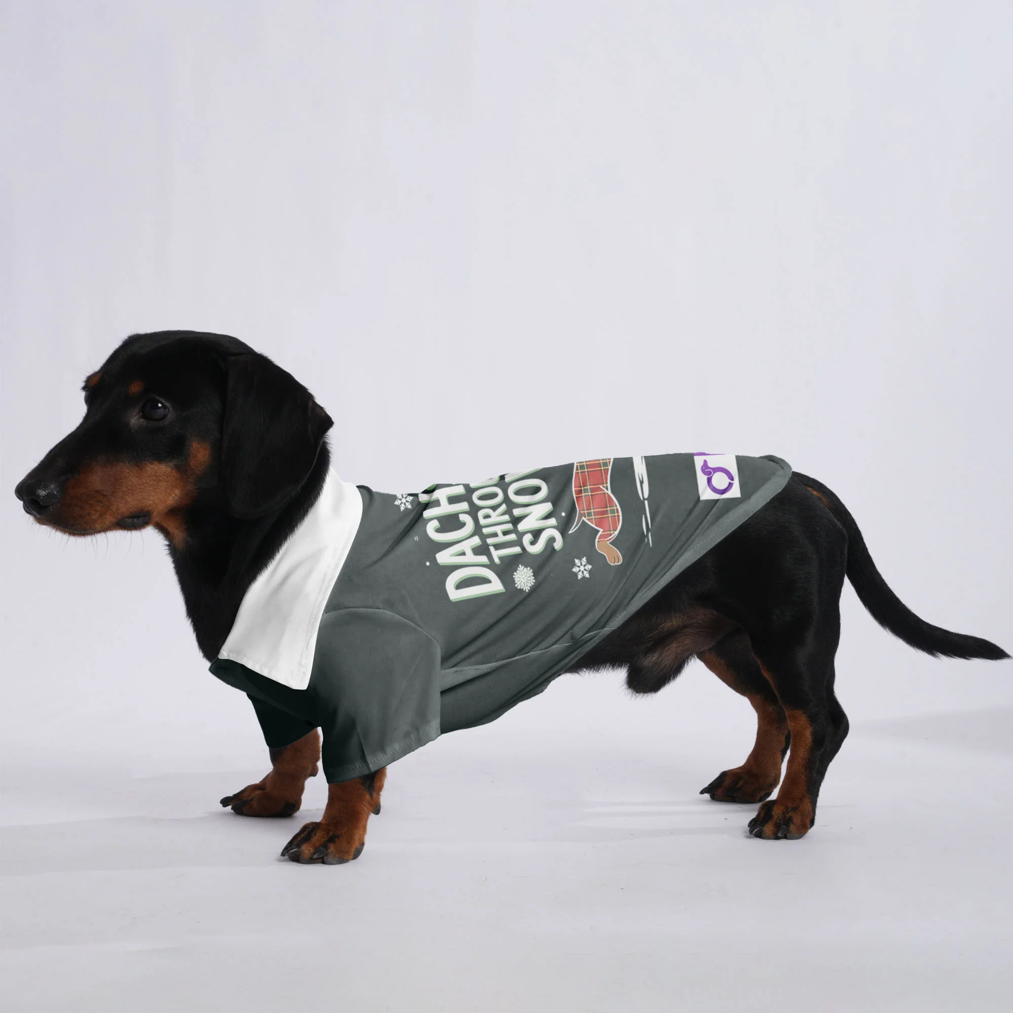 Abby - Hawaiian Shirt for Doxies - Image 3
