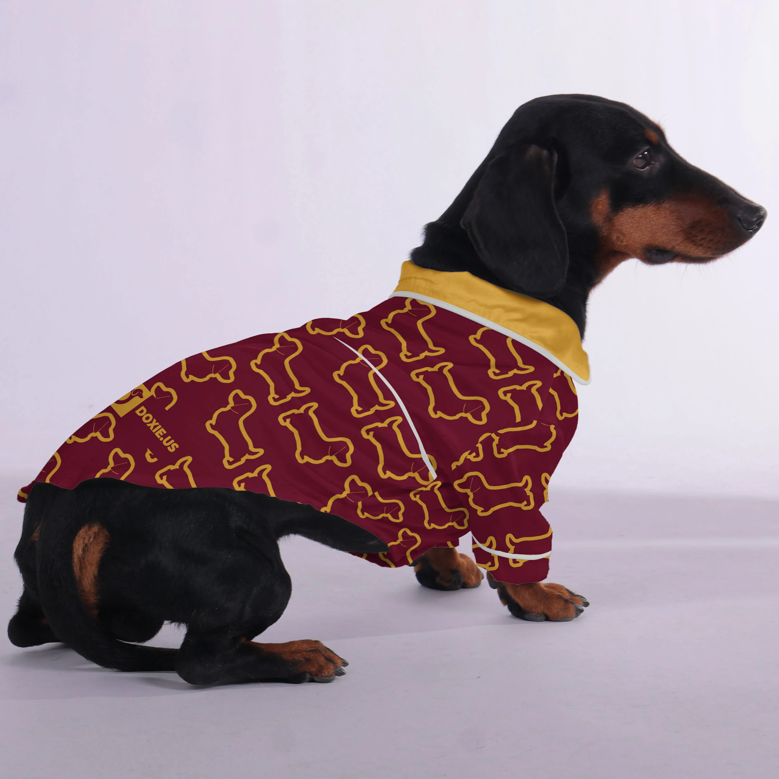 Adele - Pajamas for Dachshund
