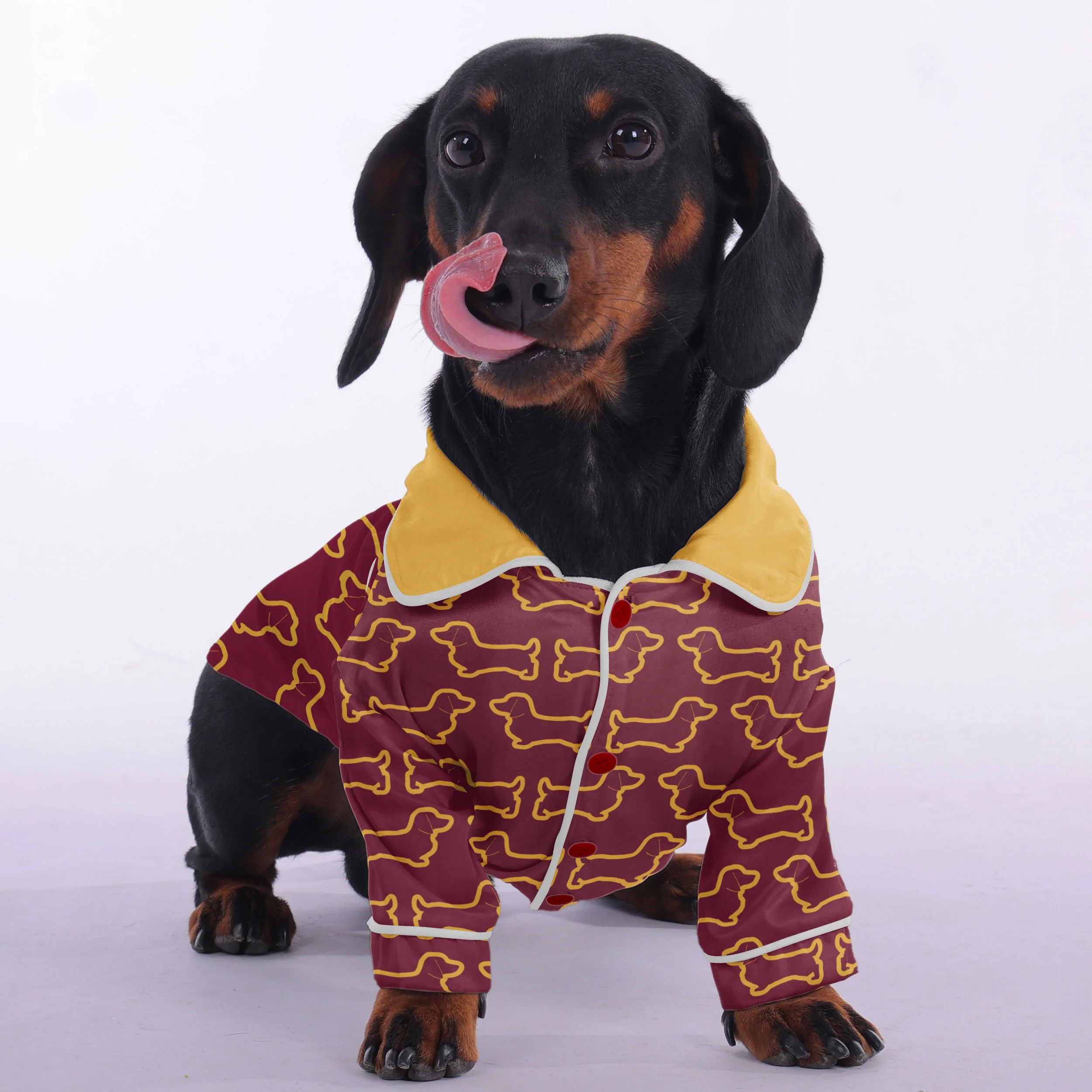 Adele - Pajamas for Dachshund - Image 2