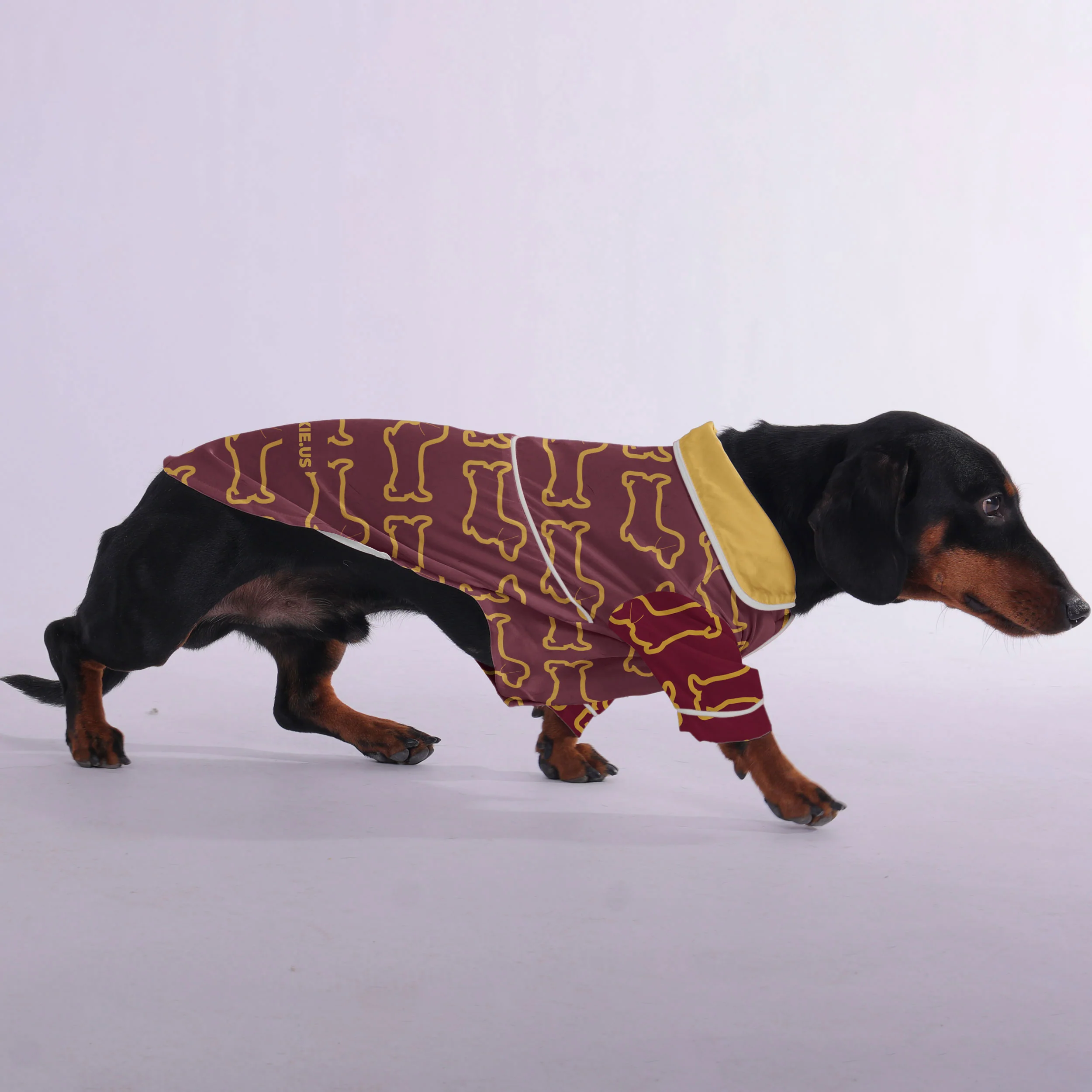 Adele - Pajamas for Dachshund - Image 3