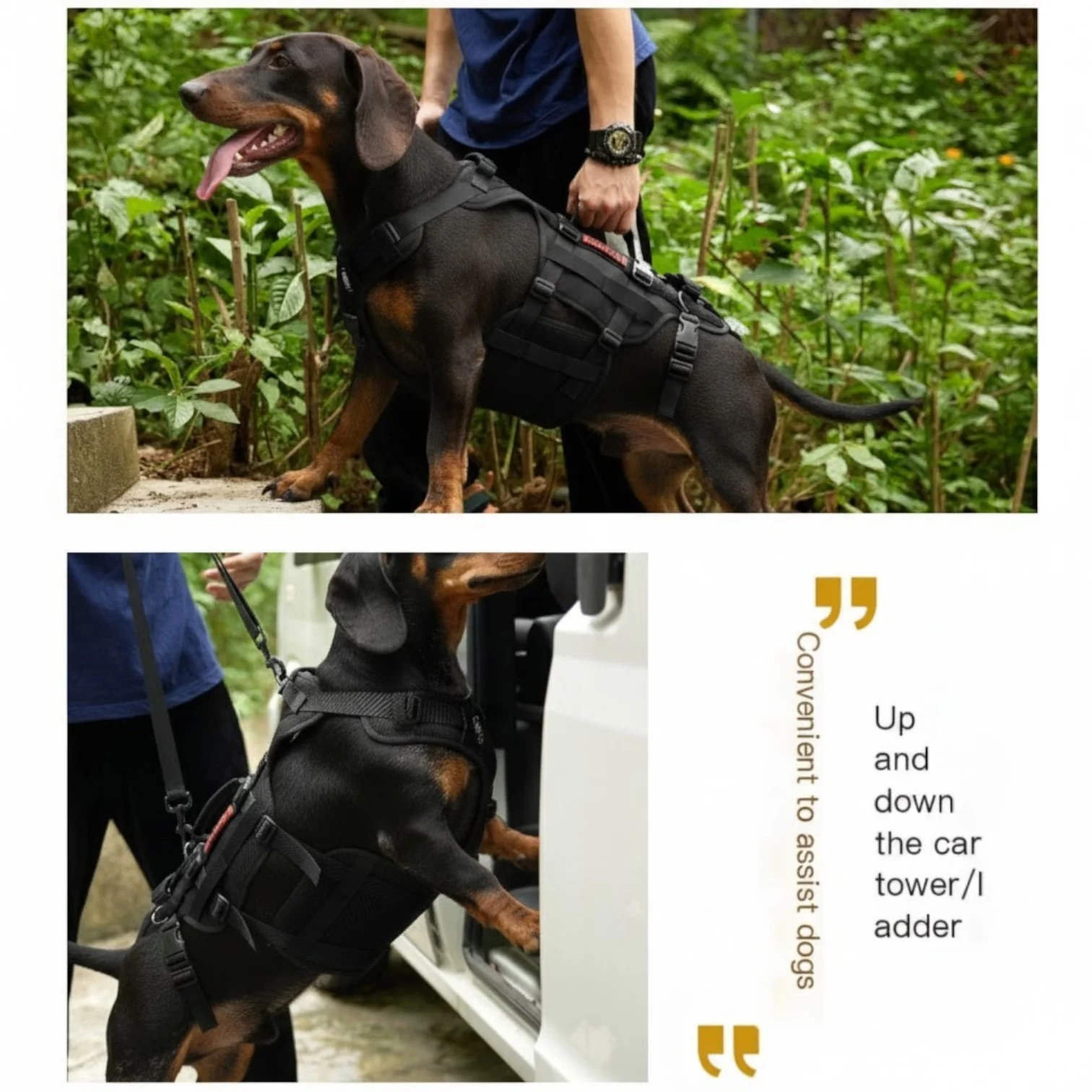DoxiLift Dachshund Walking Aid Harness – Soft Tactical Dog Support Vest - Image 7