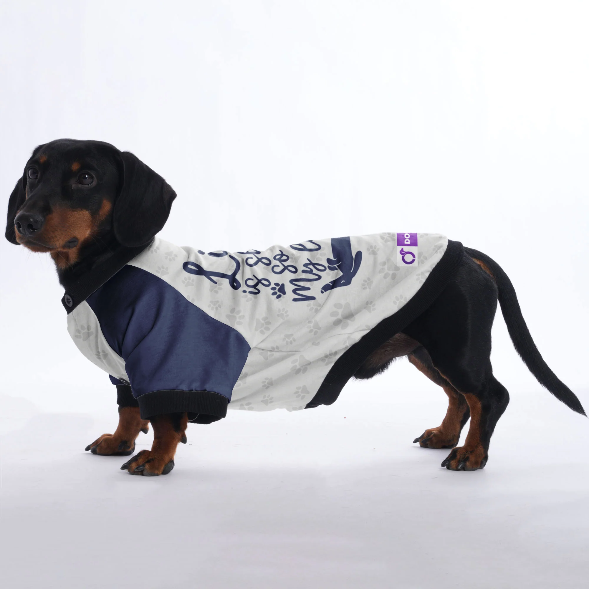 Life is short, so are my legs - Jacket for Dachshunds - Image 2