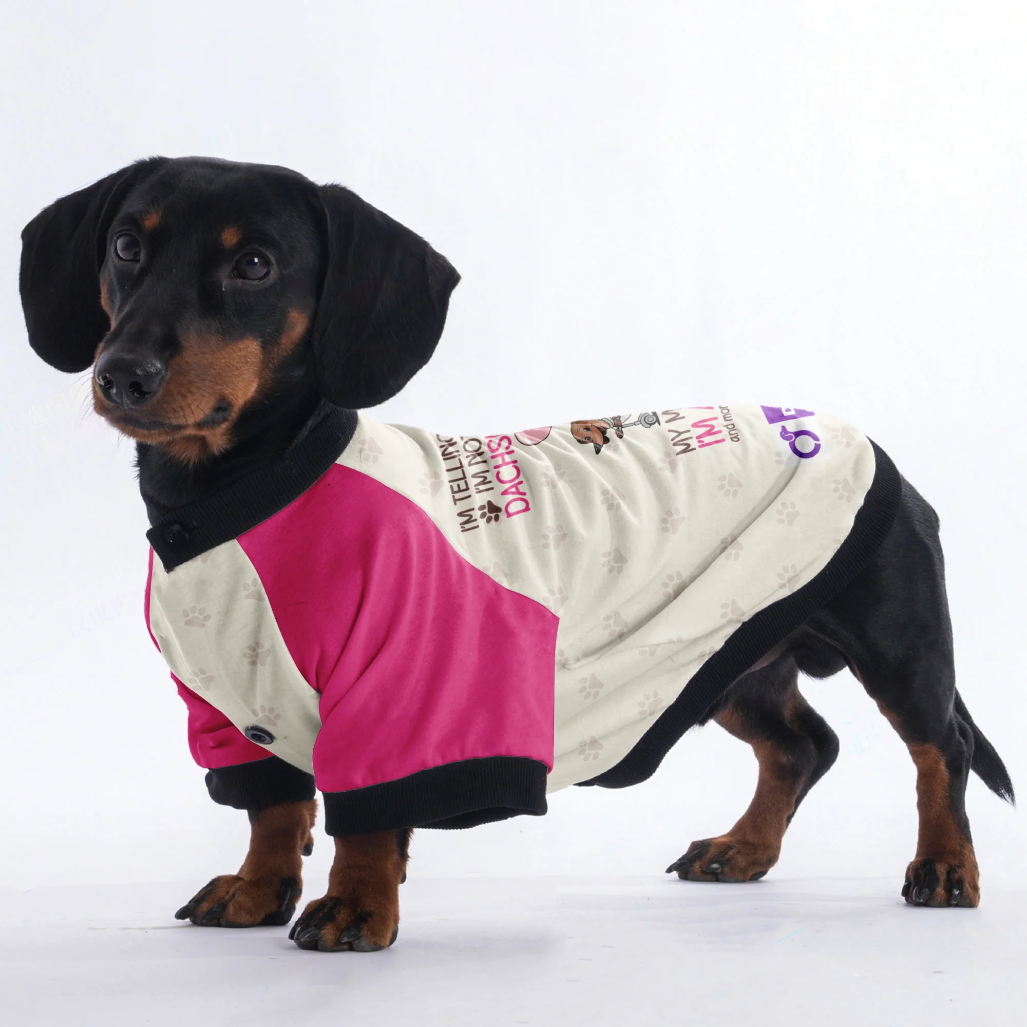 I’m telling you I’m not a dachshund; my mom said I’m a baby, and mom is always right - Jacket for Dachshunds - Image 2
