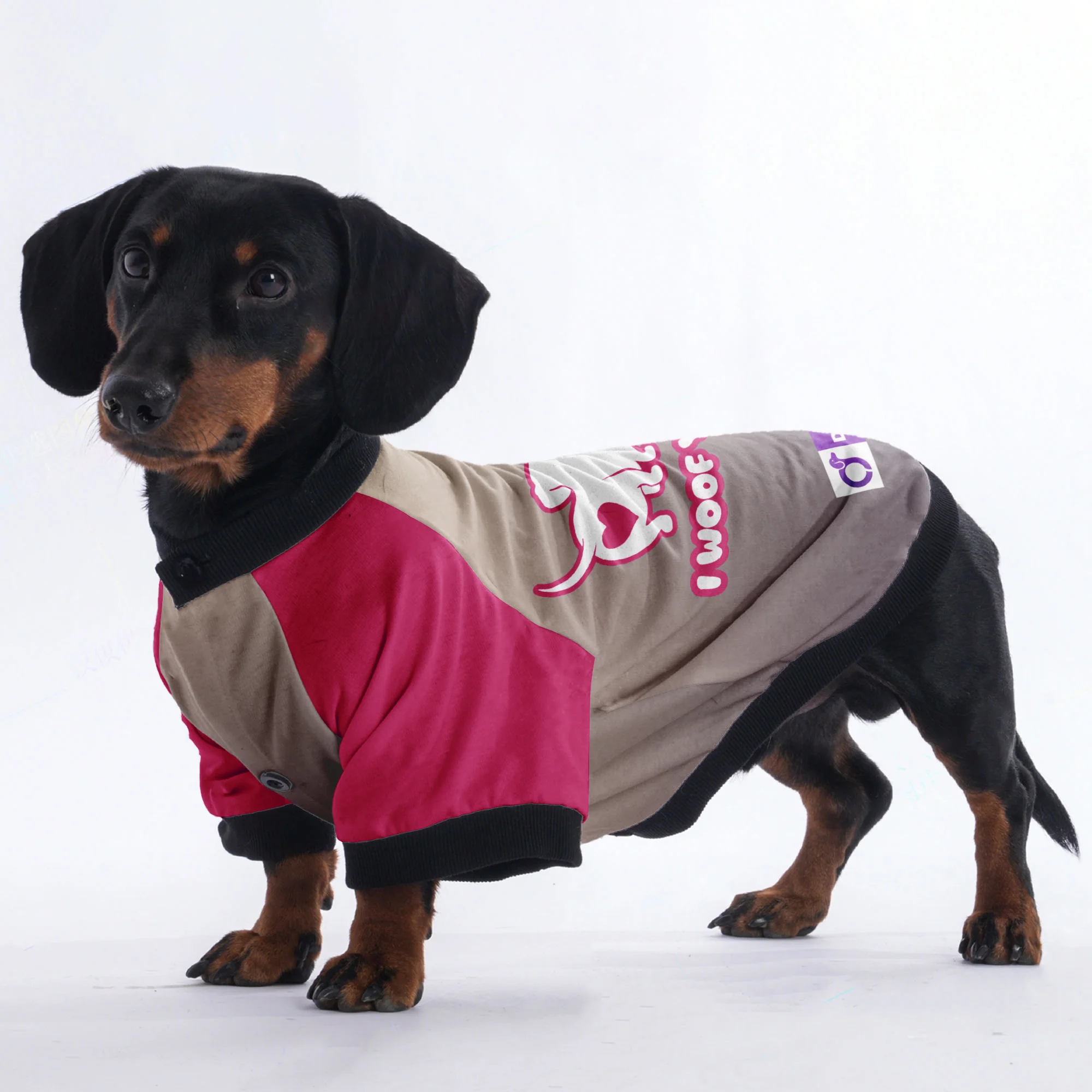 I woof you - Jacket for Dachshunds - Image 3