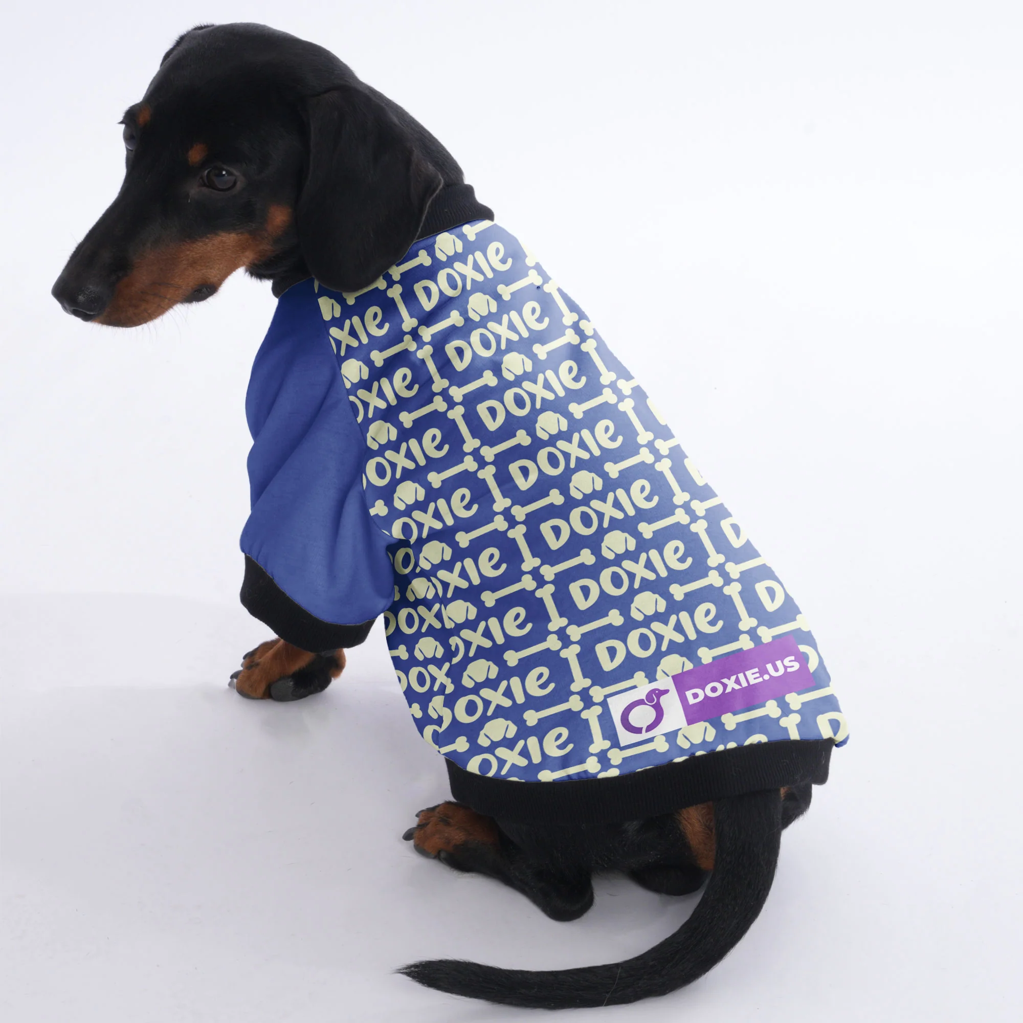 Ken - Jacket for Dachshunds - Image 2