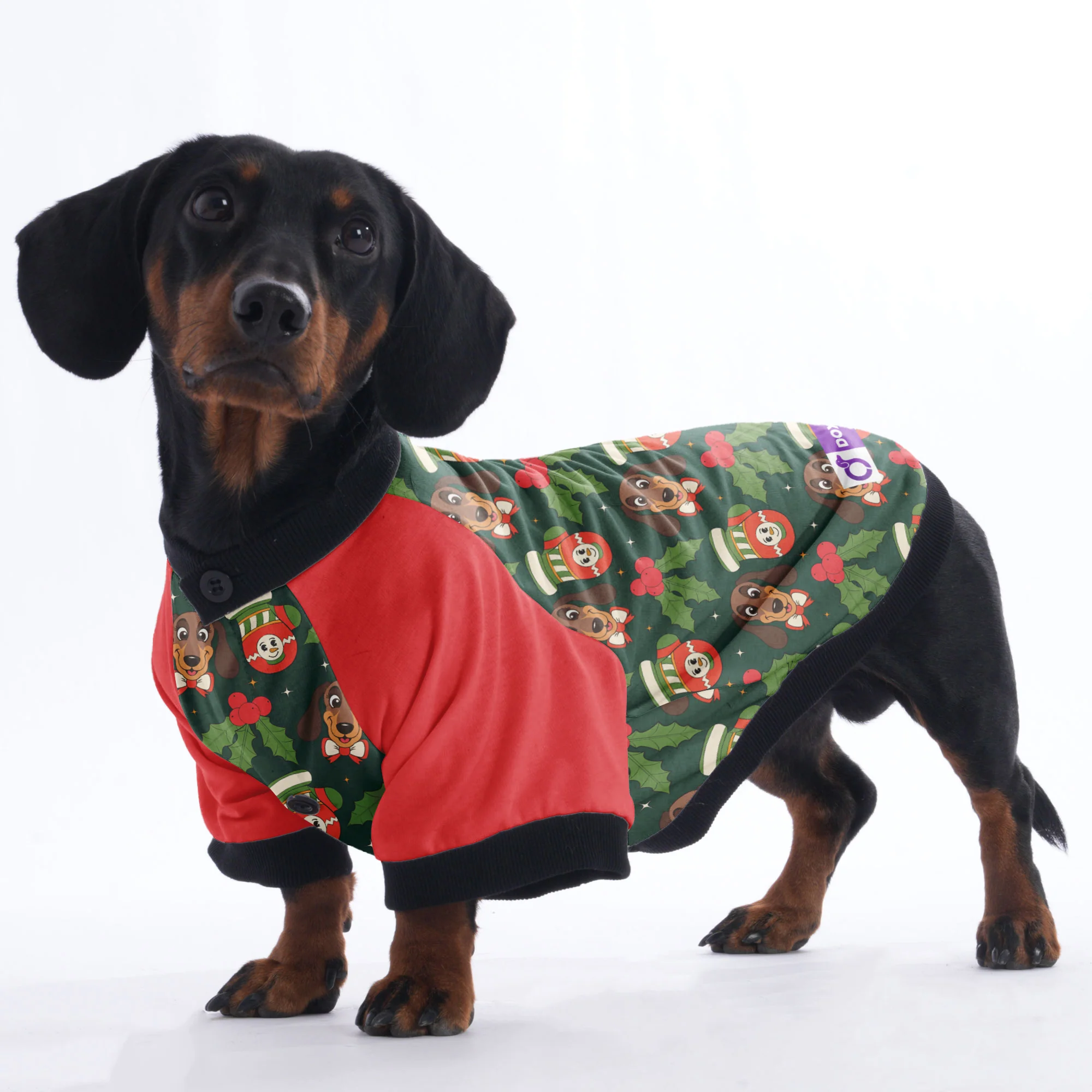Roxy - Jacket for Dachshunds - Image 3