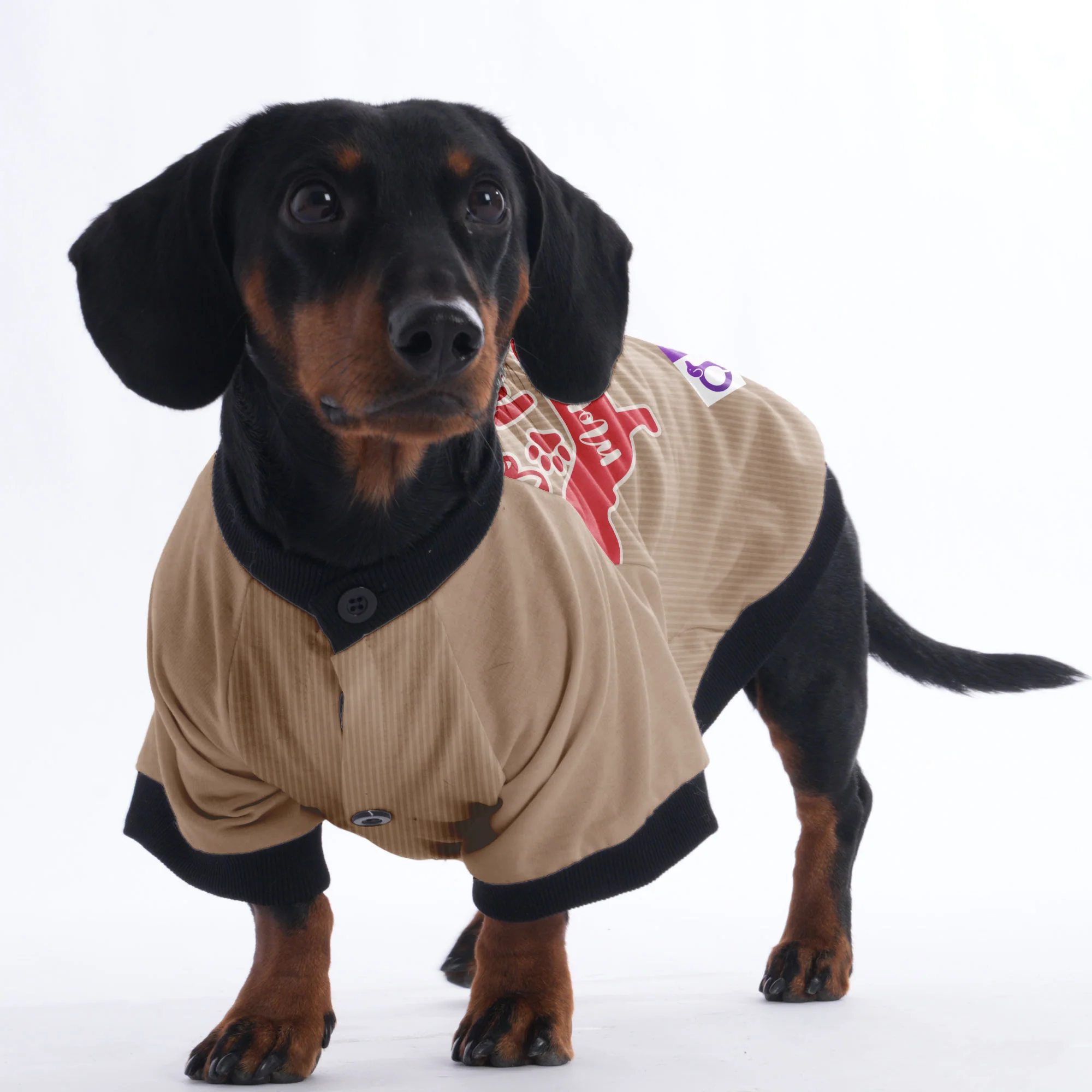 I love my Mommy - Jacket for Dachshunds - Image 5