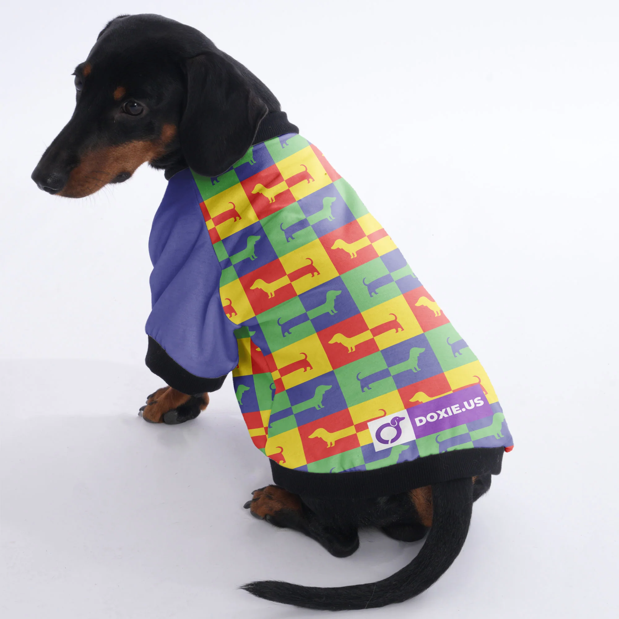 Nelson - Jacket for Dachshunds - Image 5