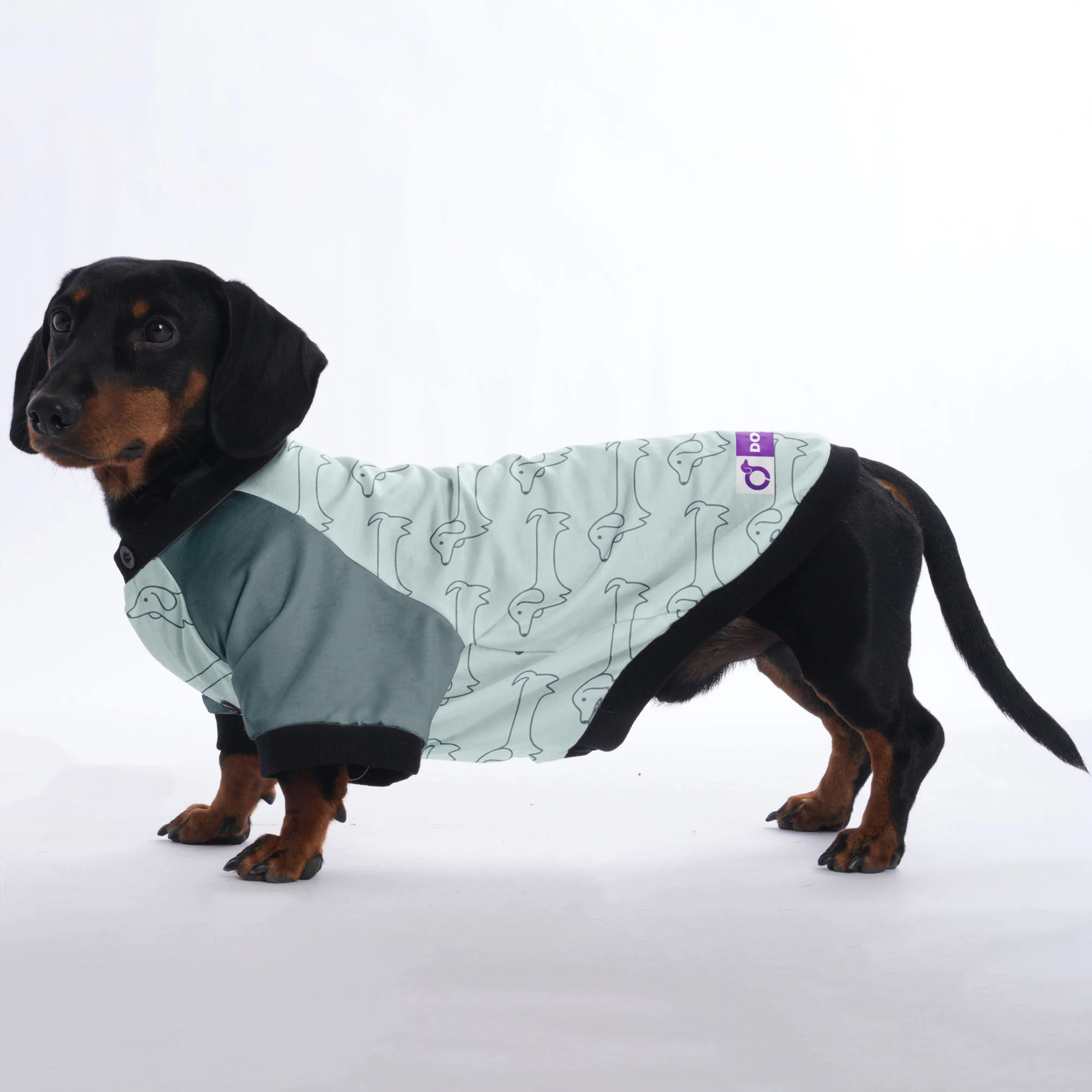Penny - Jacket for Dachshunds - Image 5