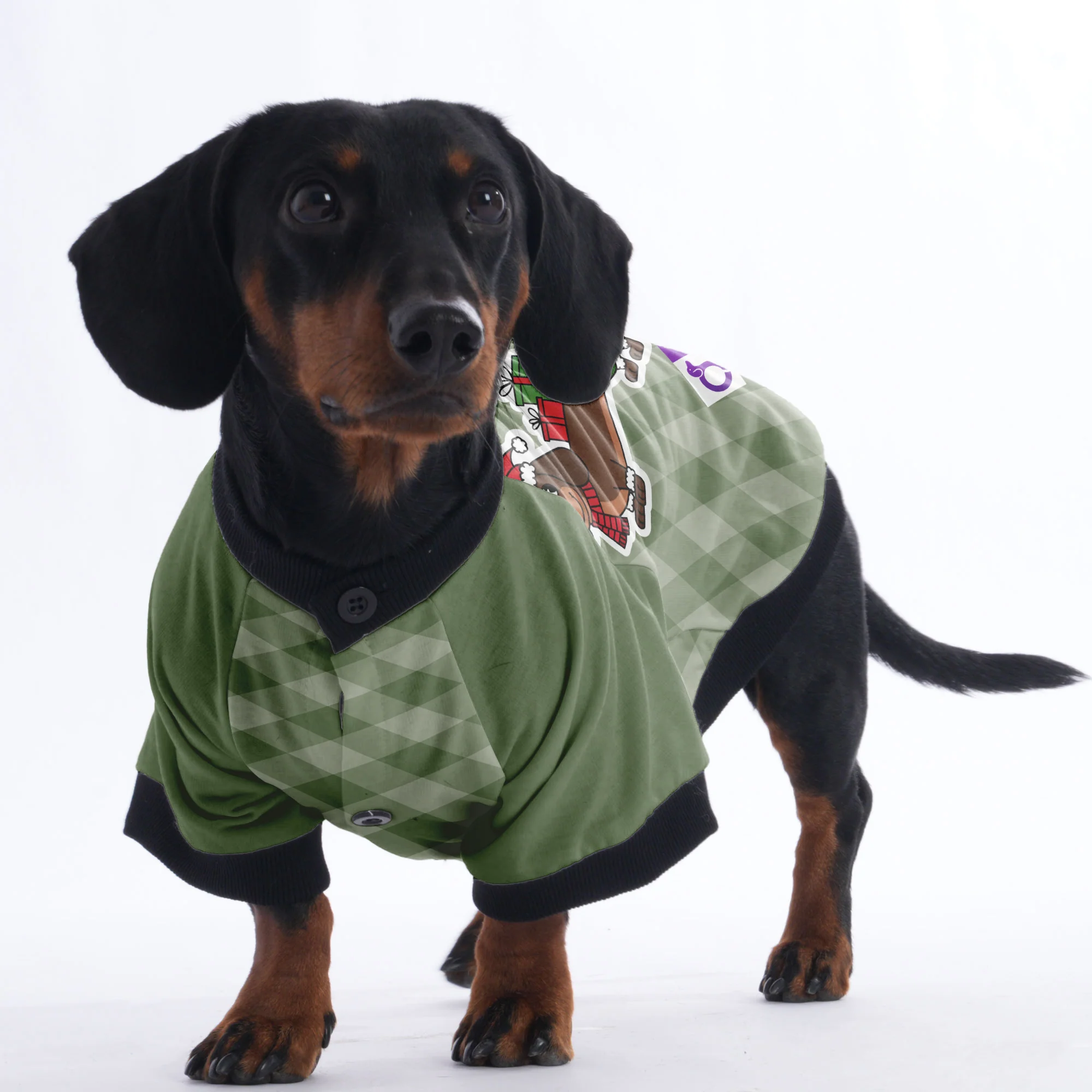 Merry Woofmas - Jacket for Dachshunds - Image 4