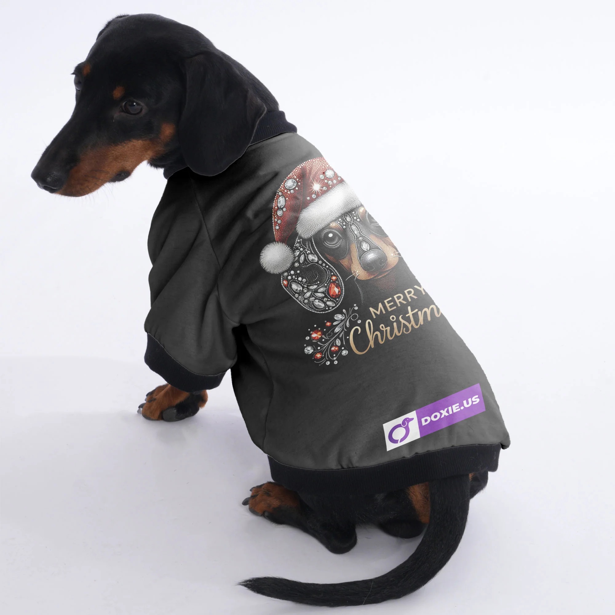 Luna - Jacket for Dachshunds - Image 2