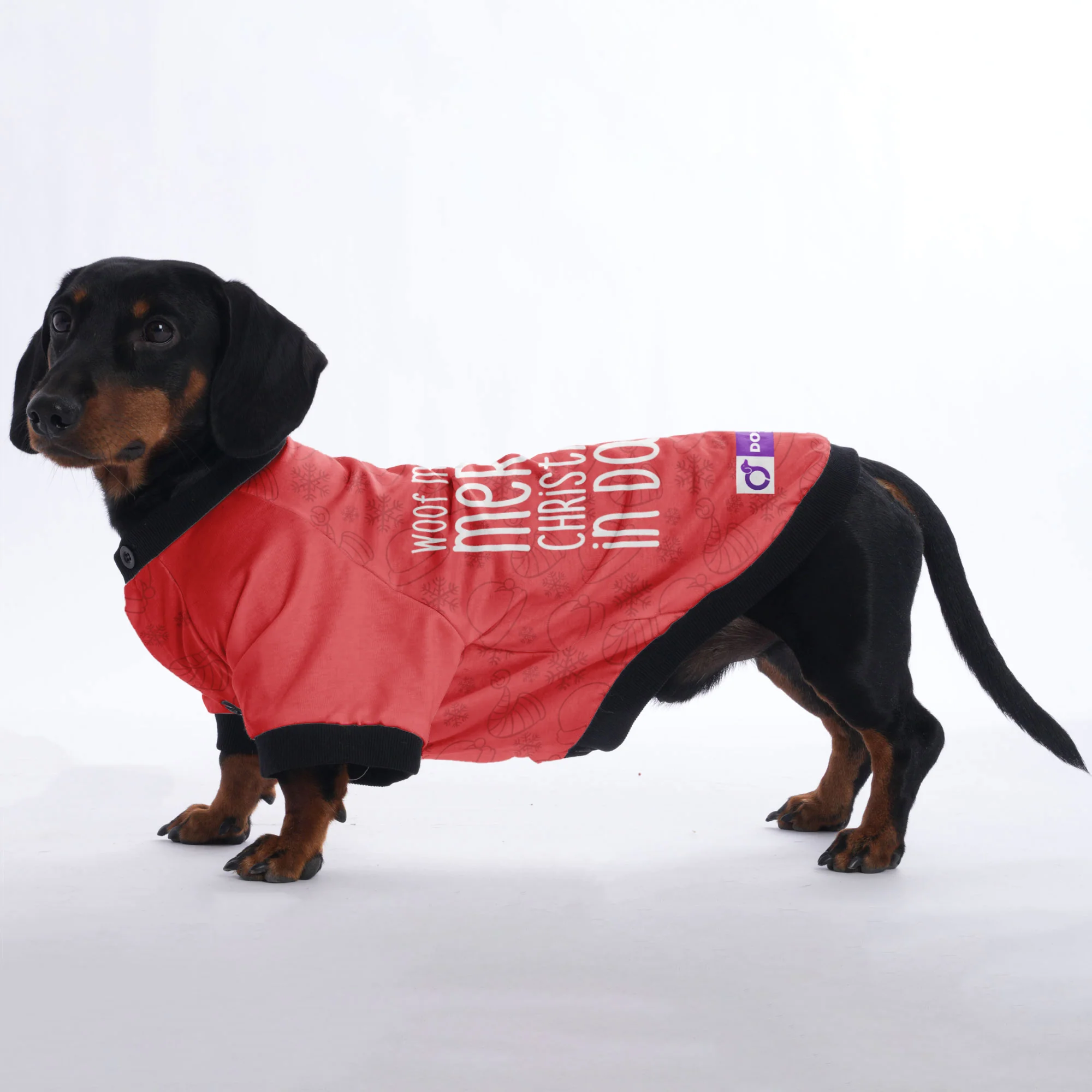 Woof means Merry Christmas in Dachshund - Jacket for Dachshunds - Image 5