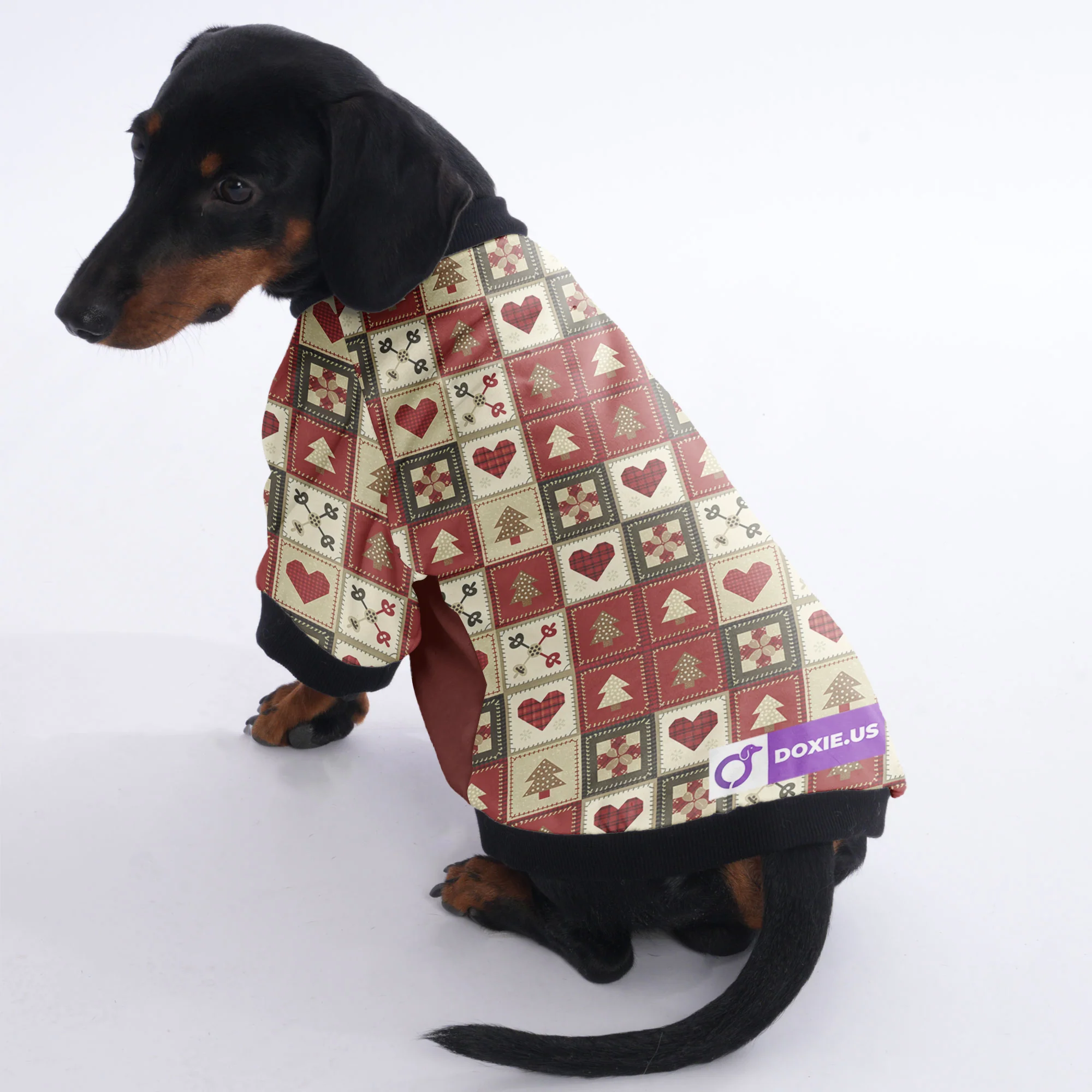 Bailey - Jacket for Dachshunds - Image 3