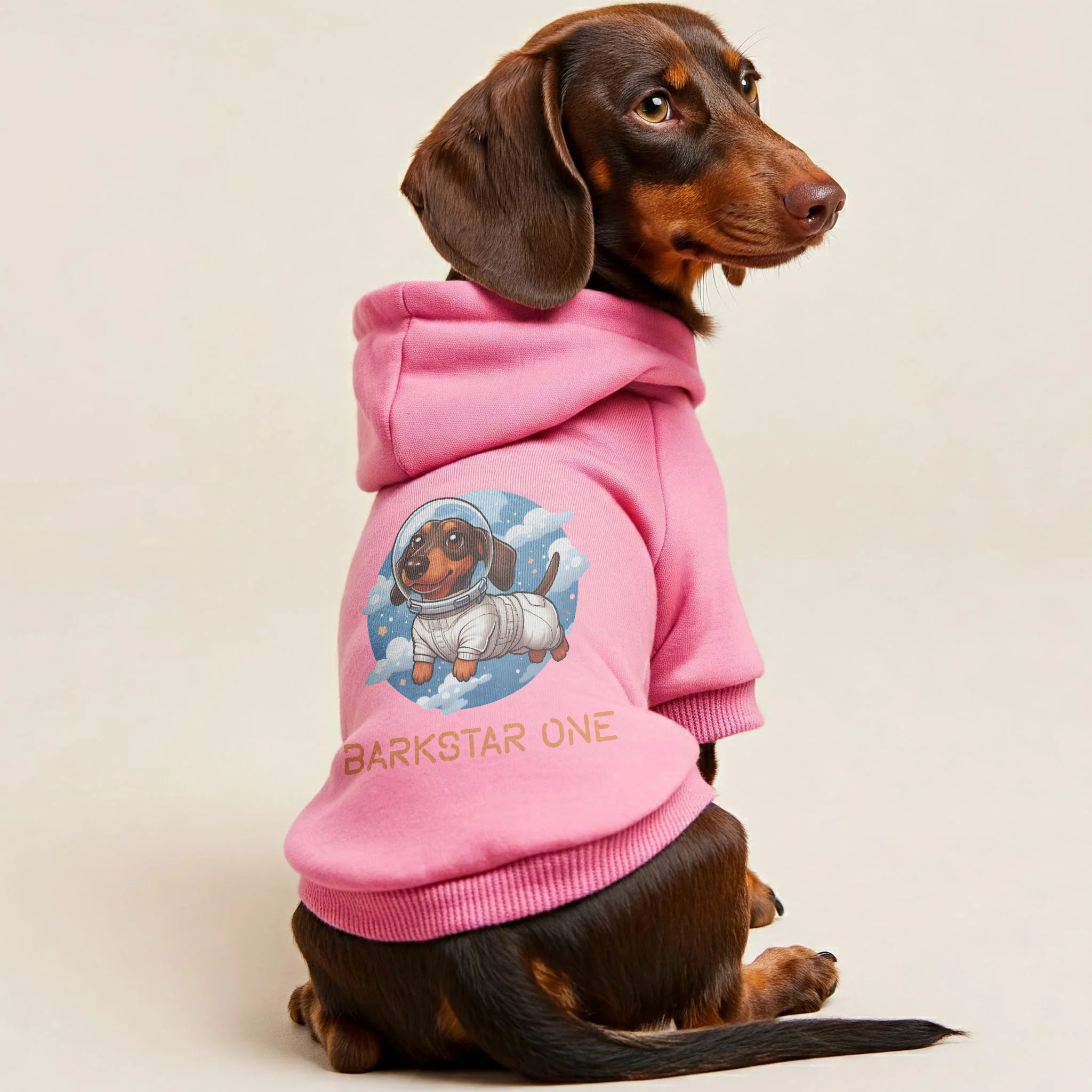 Barkstar One - Personalized Dachshund Hoodies with Funny Quotes – Stylish, Cozy, and Premium 100% Cotton - Image 2