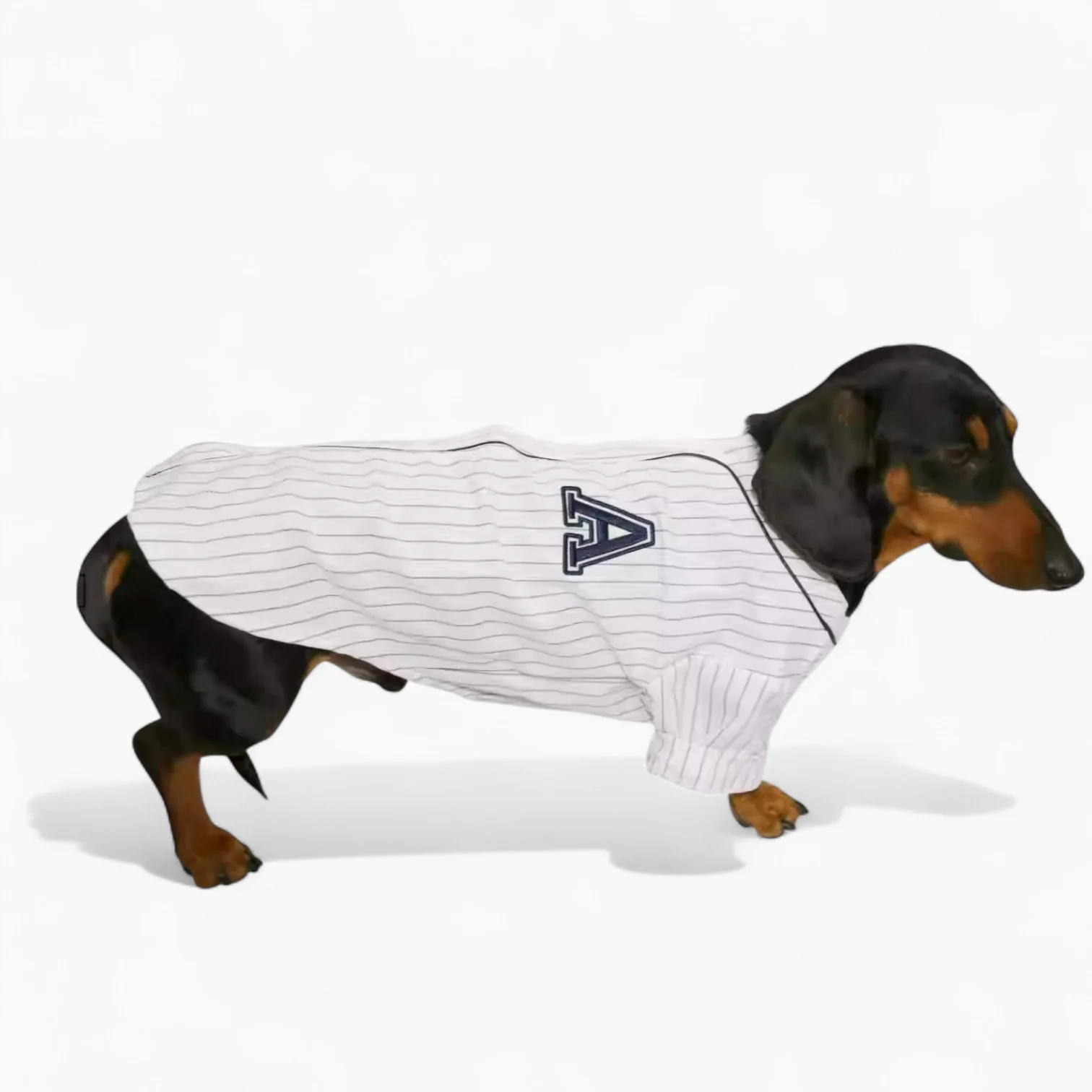 BasePup Dachshund Baseball Jersey – Striped Long-Sleeve Summer Outfit