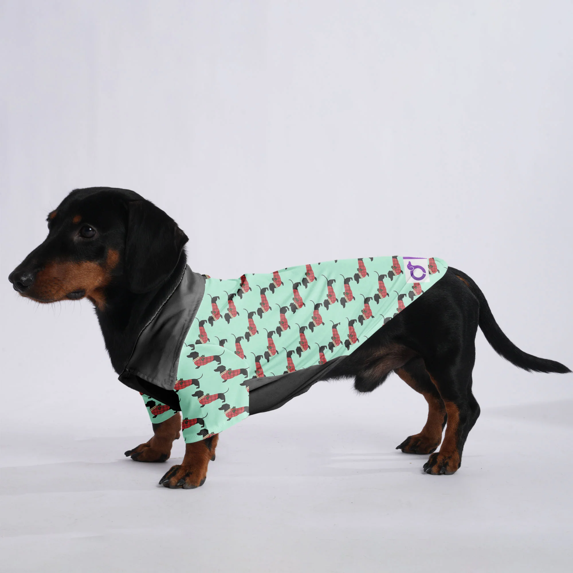 Bella - Hawaiian Shirt for Doxies - Image 2