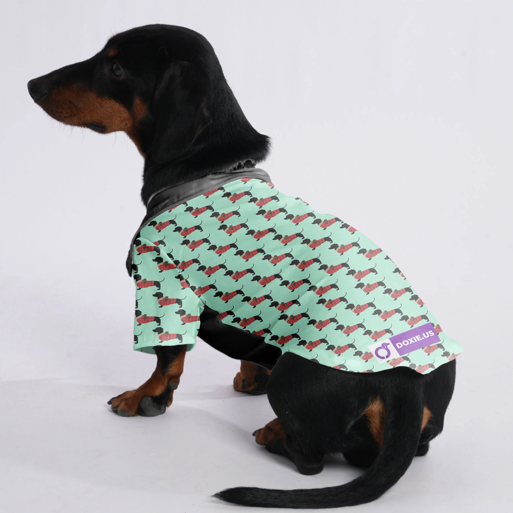 Bella - Hawaiian Shirt for Doxies - Image 3