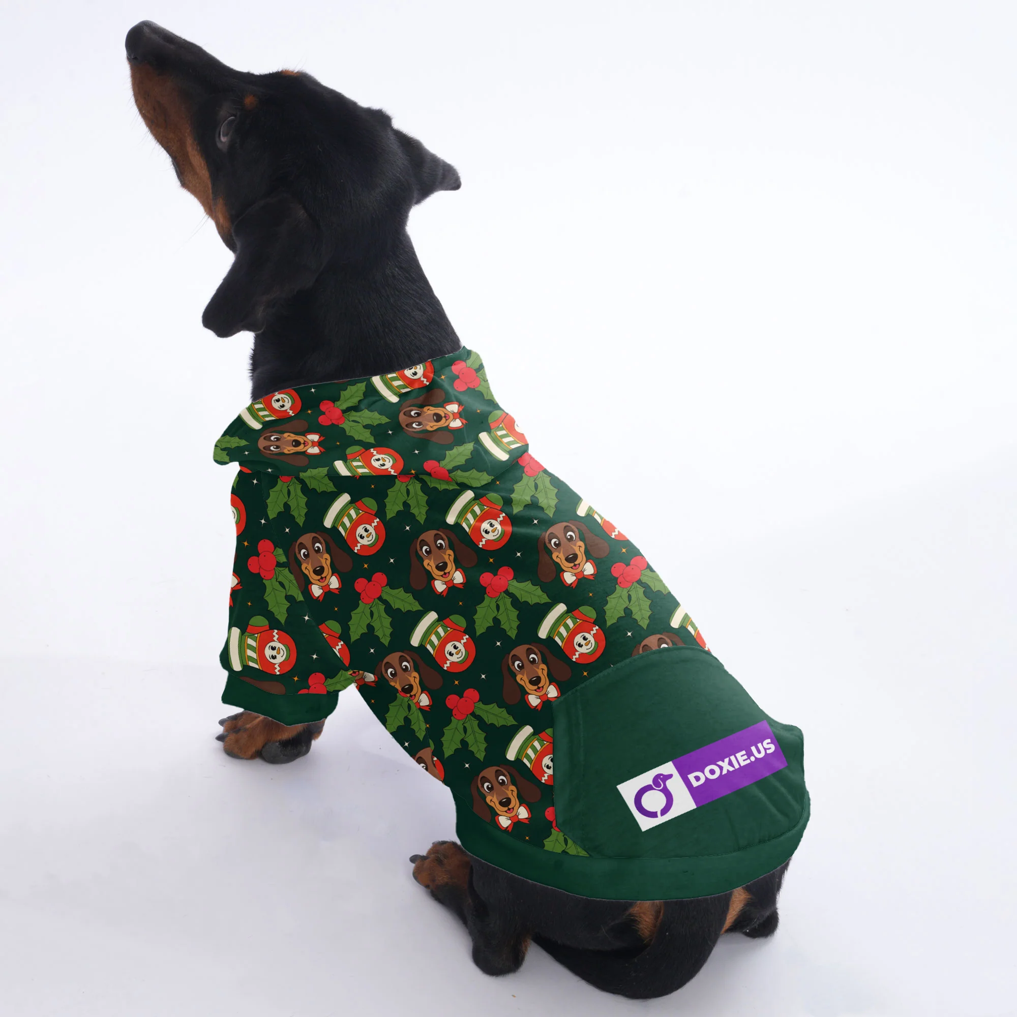 Ray - Hoodies for Dachshunds - Image 3
