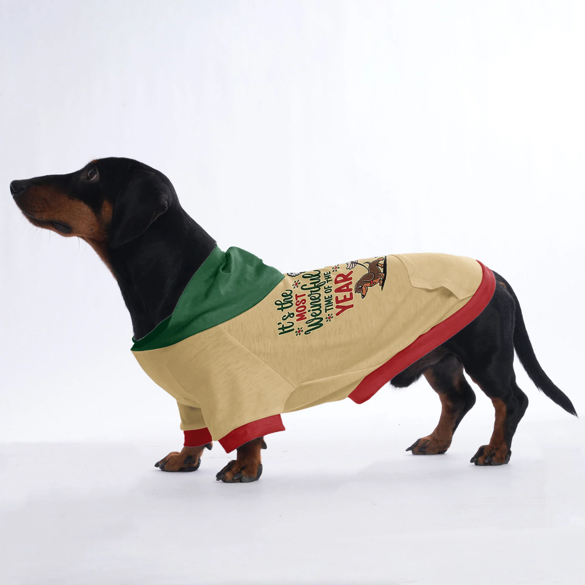 Bella - Hoodies for Dachshunds - Image 3