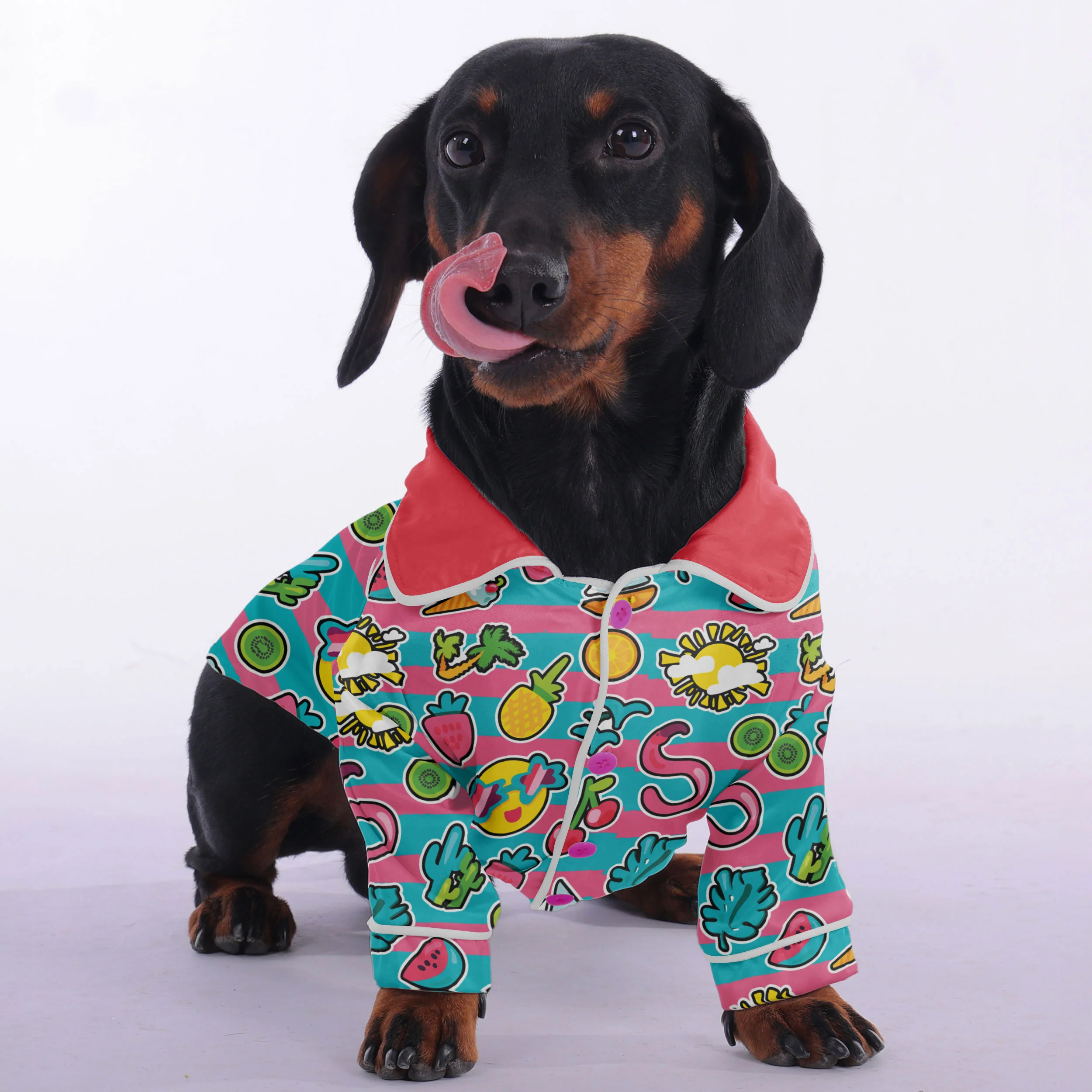 Betty - Pajamas for Dachshund