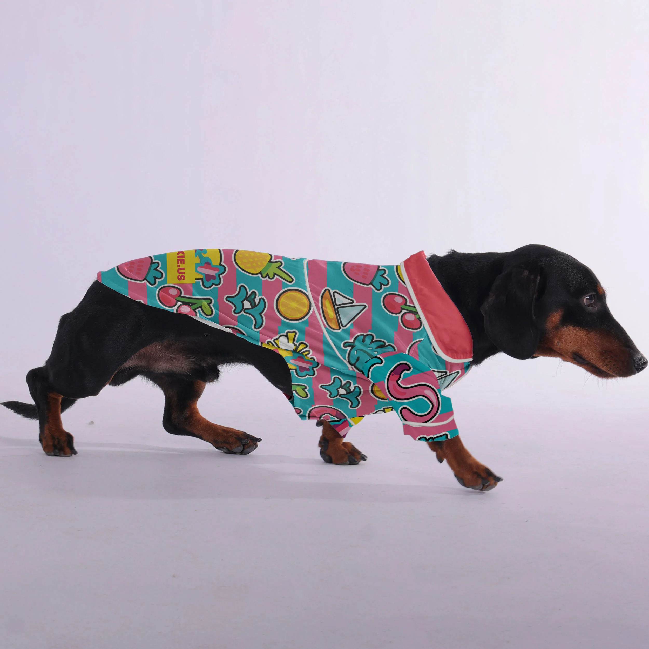 Betty - Pajamas for Dachshund - Image 3
