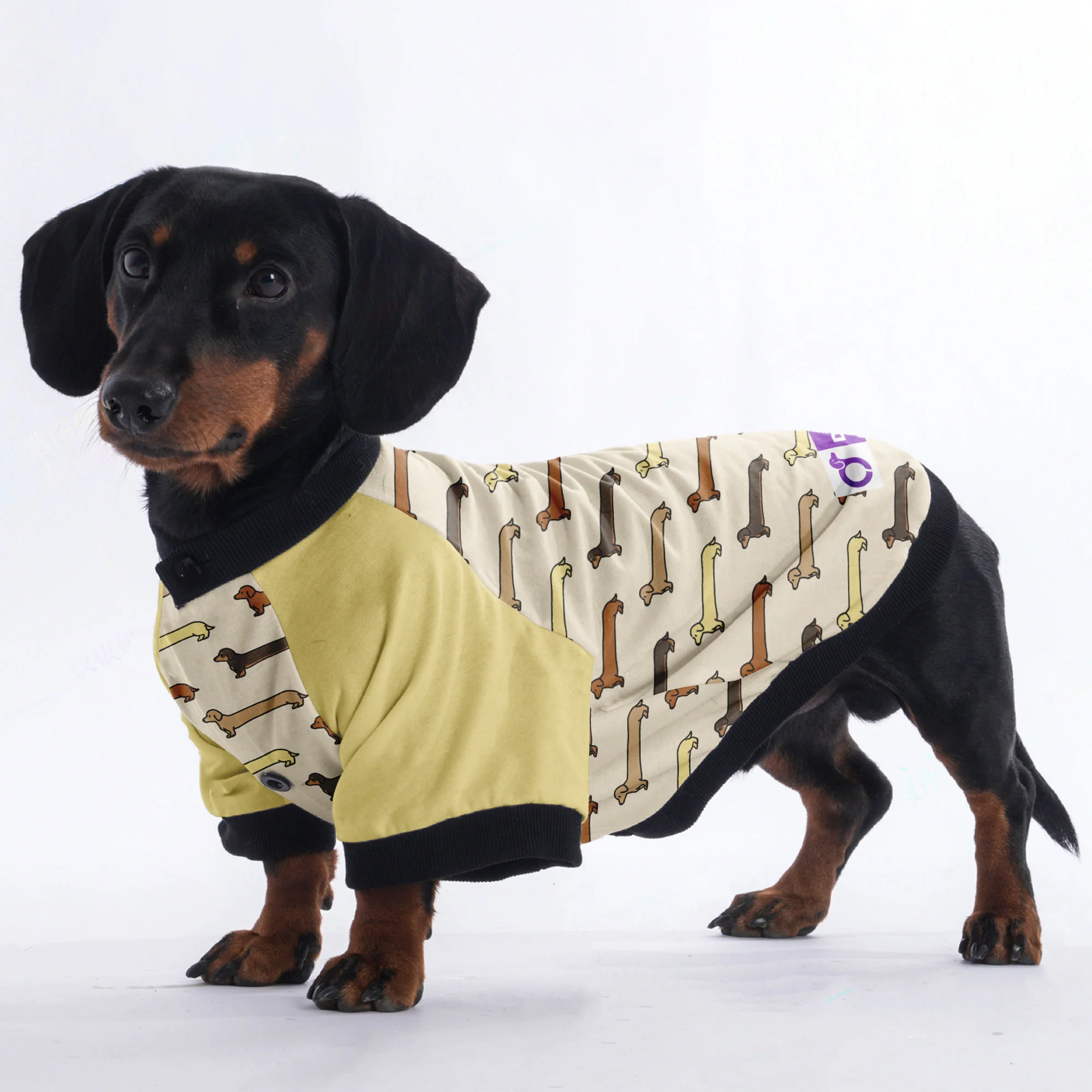 Birdie - Jacket for Dachshunds