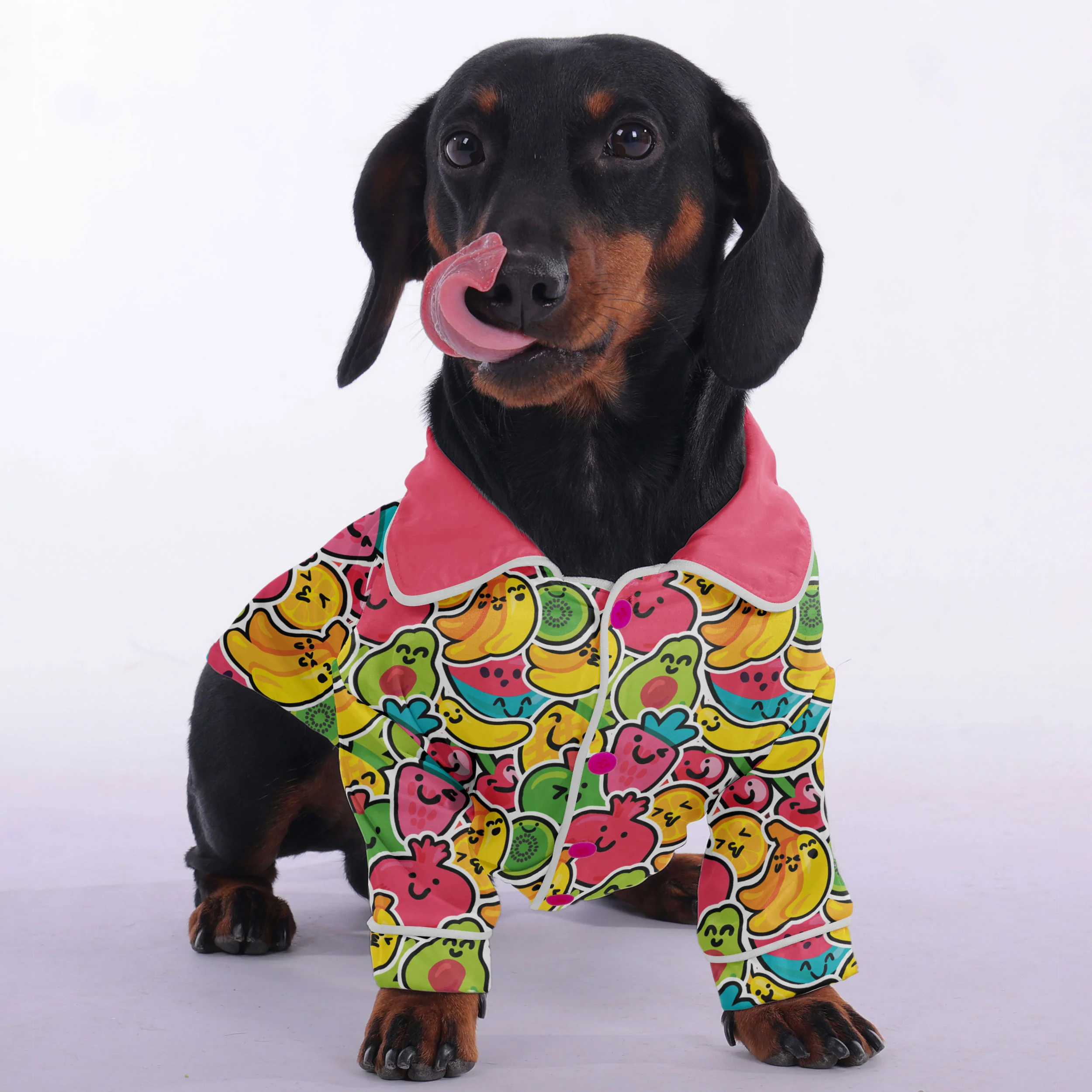Bodo - Pajamas for Dachshund - Image 3