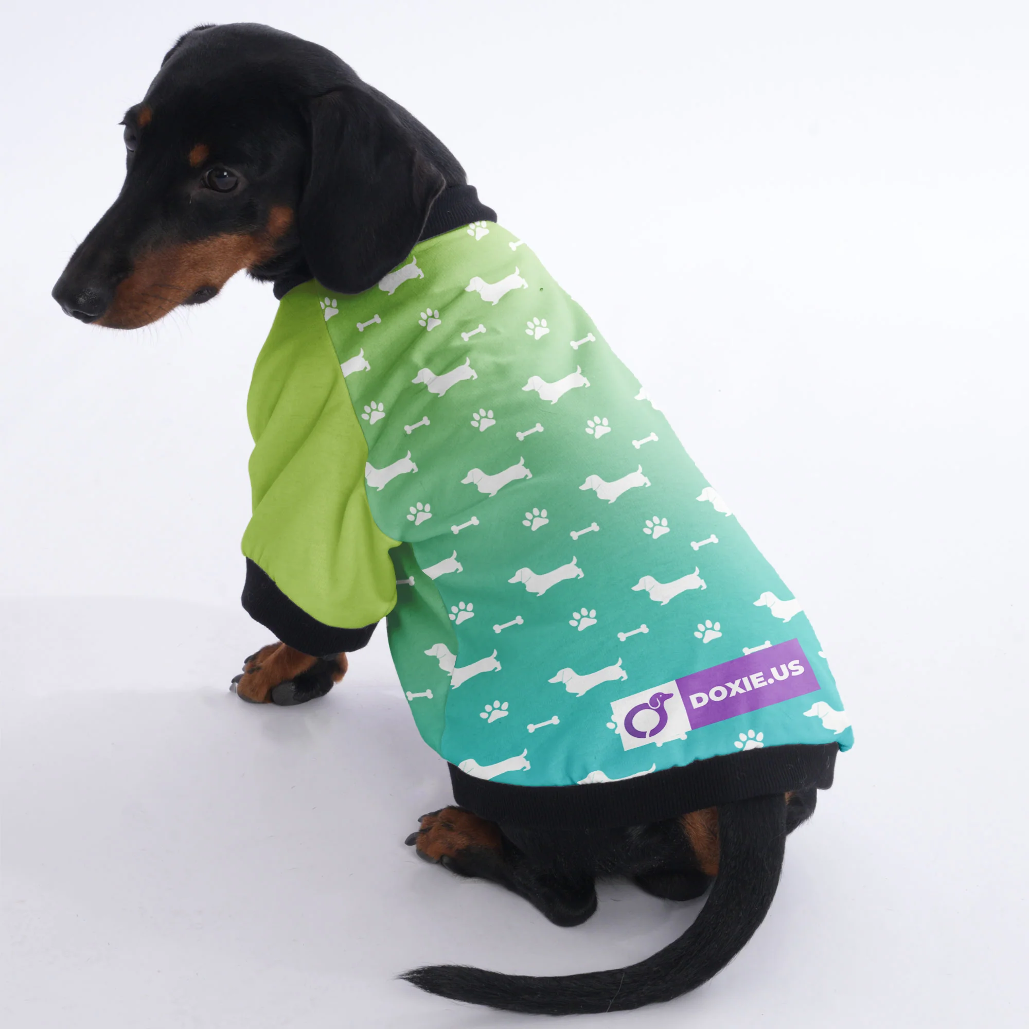 Bodo - Jacket for Dachshunds - Image 3
