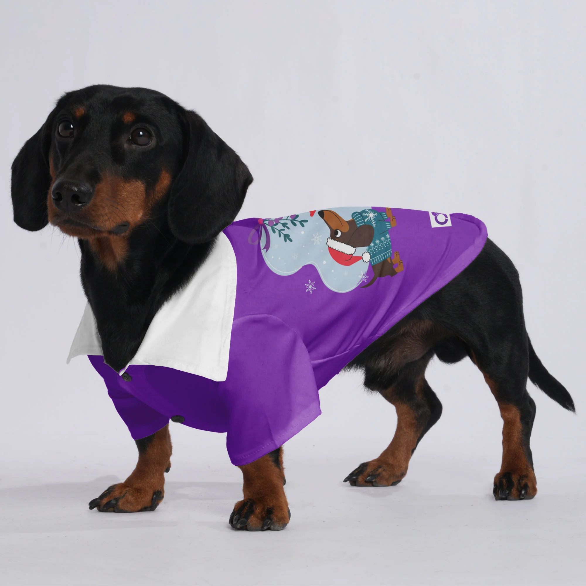Buddy - Hawaiian Shirt for Doxies - Image 3