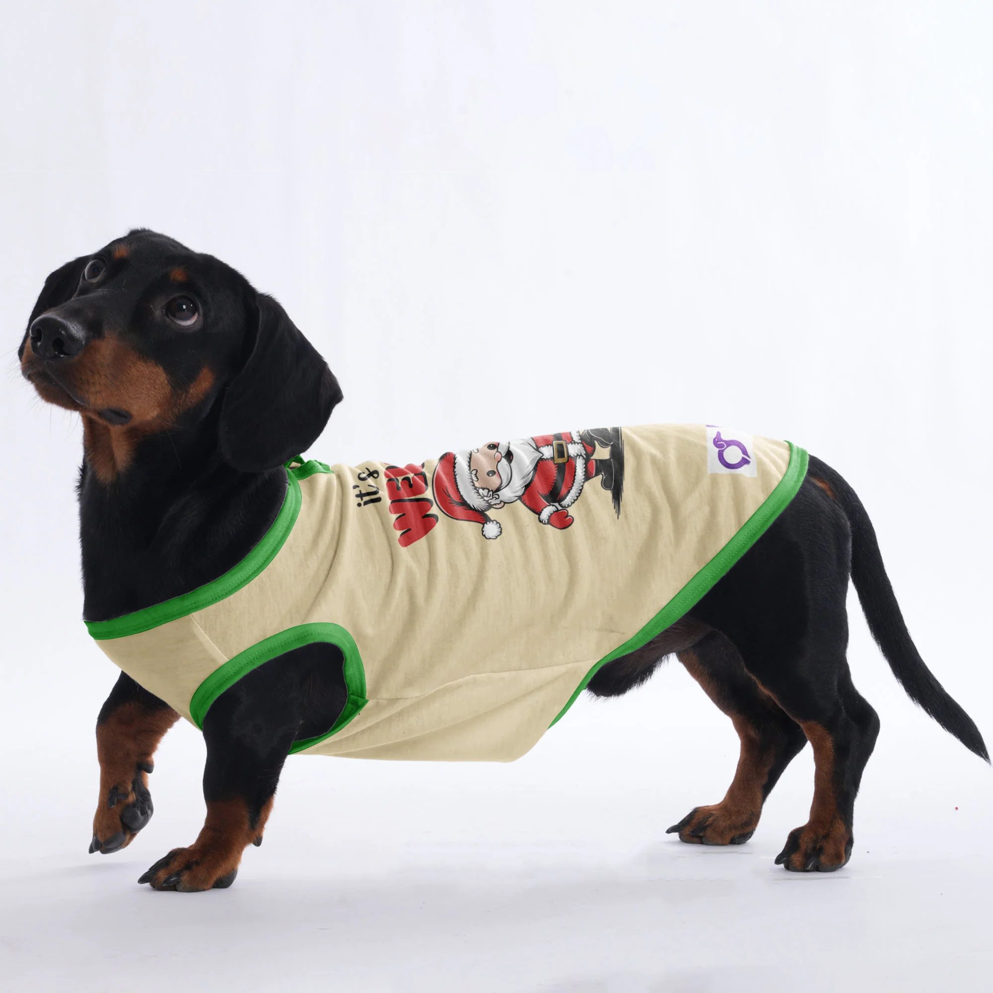 Charlie -  Shirt for Dachshunds - Image 2
