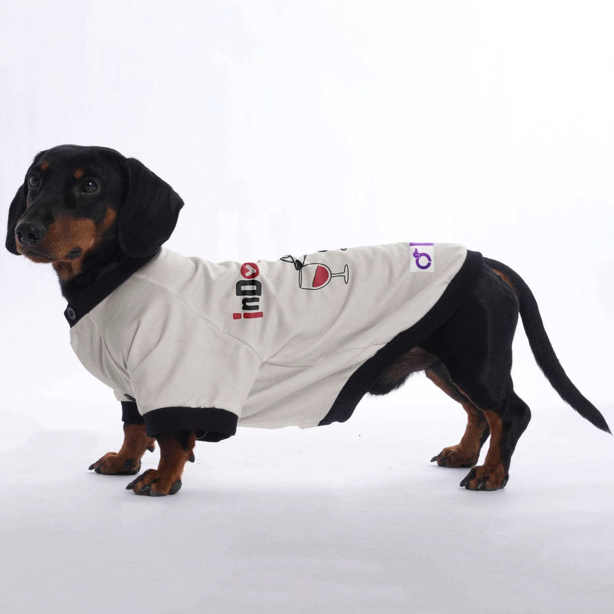 Chloe - Jacket for Dachshunds - Image 2