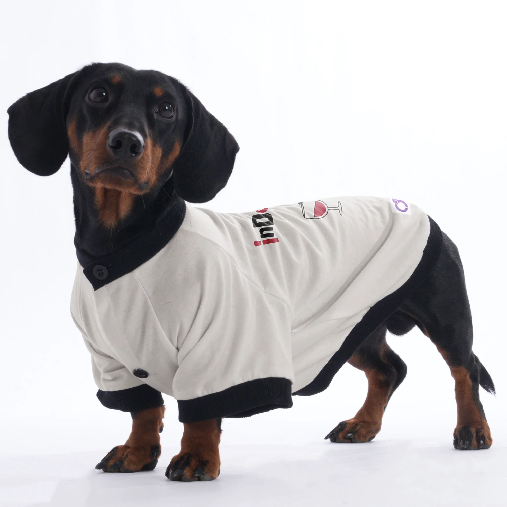 Chloe - Jacket for Dachshunds - Image 5