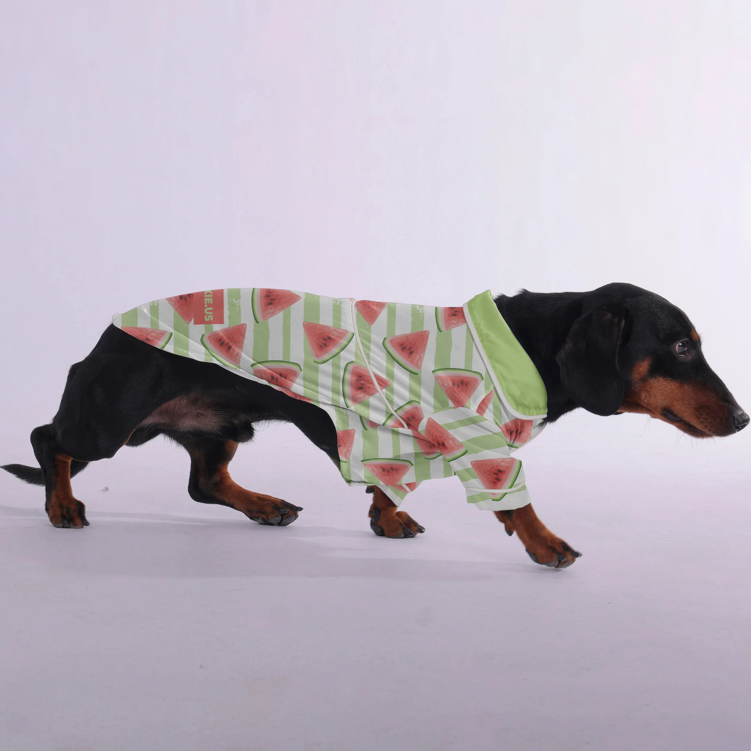 Cody - Pajamas for Dachshund - Image 3