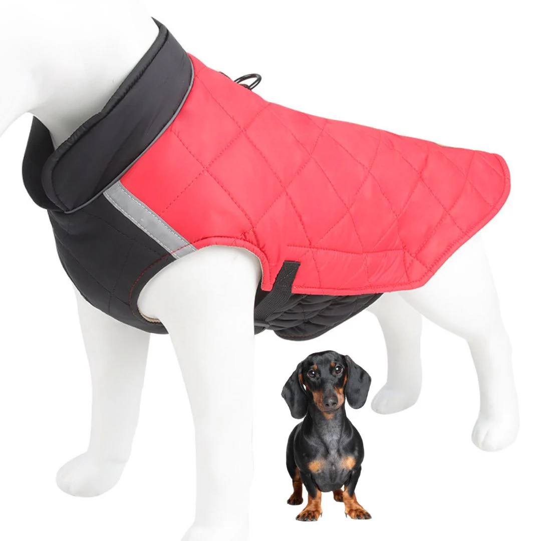 Colorblock Dachshund Jacket Adjustable Reflective Snowsuit - Image 4