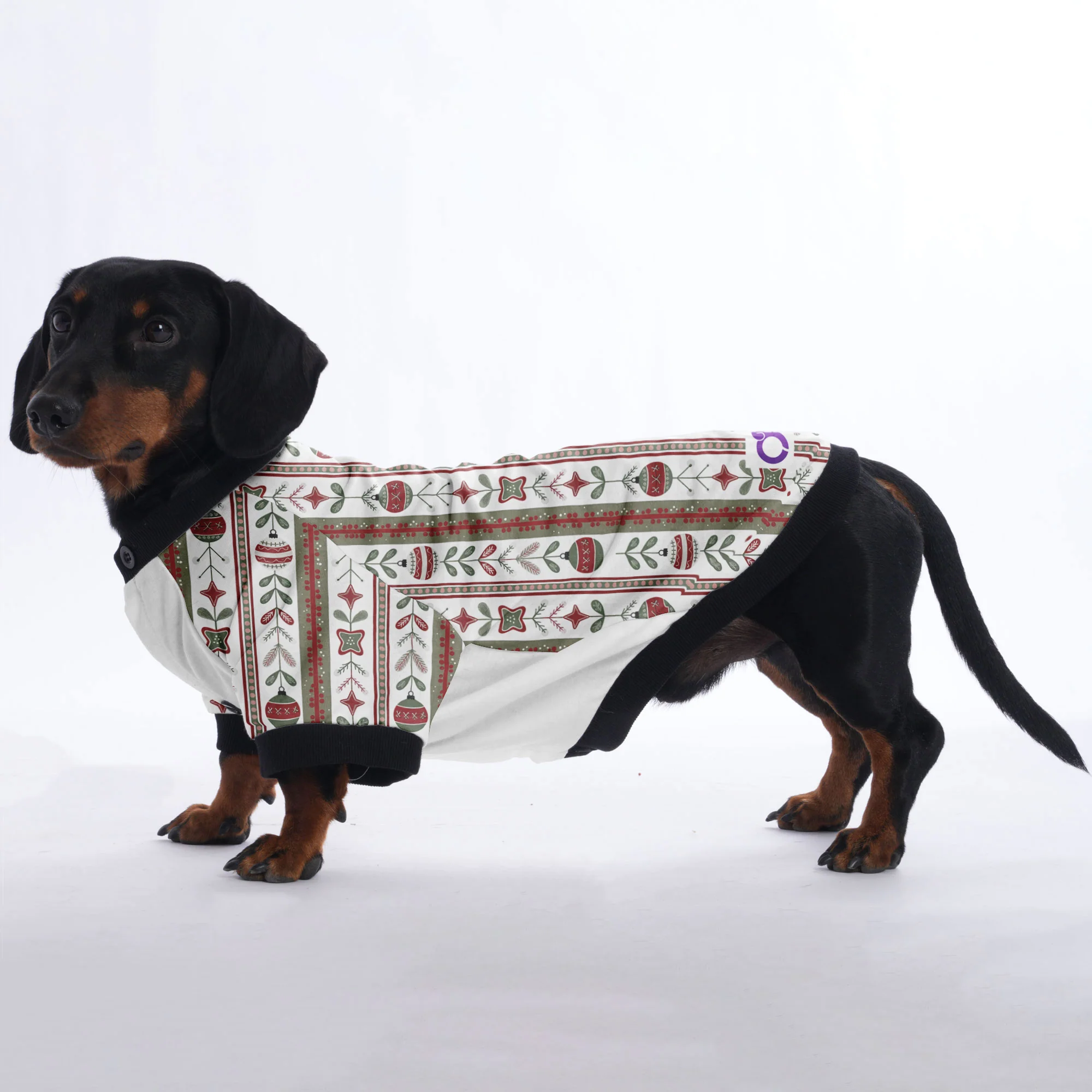 Cooper - Jacket for Dachshunds - Image 2
