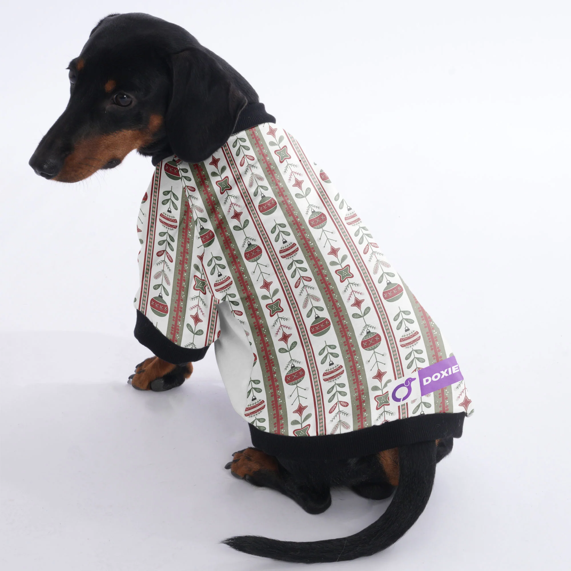 Cooper - Jacket for Dachshunds - Image 4