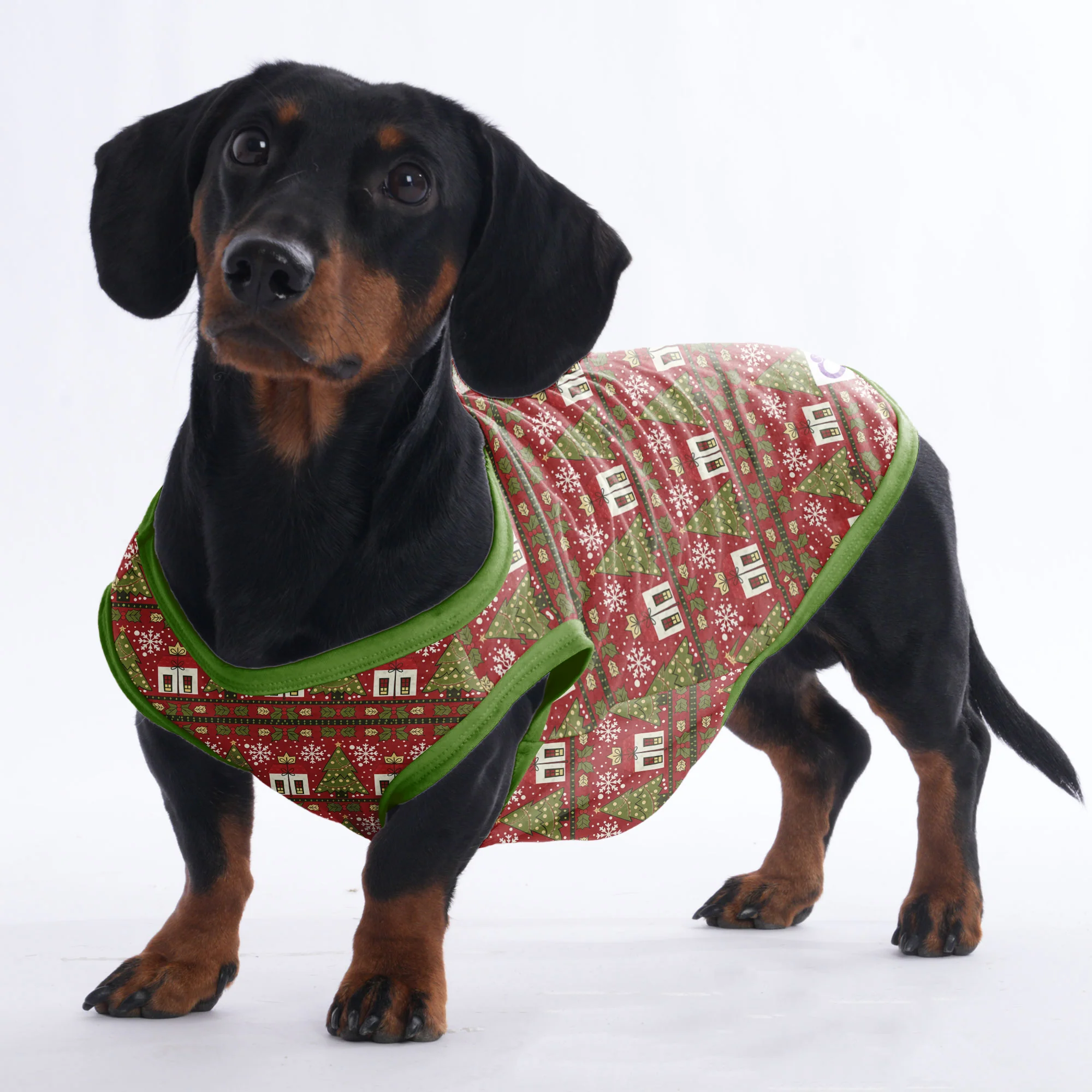 Cooper - Shirt for Dachshunds - Image 3