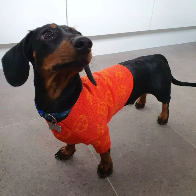 Cozy Dachshund Pullover Winter Sweater