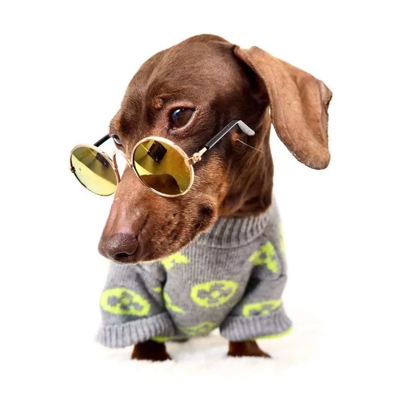 Cozy Dachshund Pullover Winter Sweater - Image 2