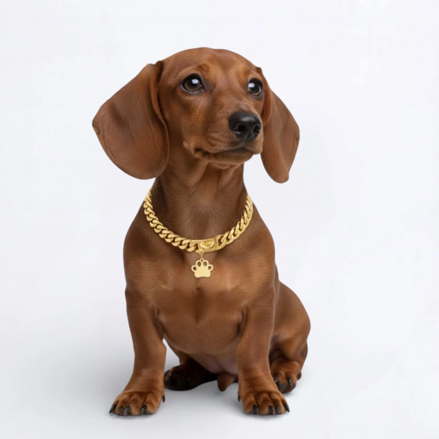 LuxePaw Dachshund Cuban Collar – Stainless Steel Dog Collar with Buckle - Image 4