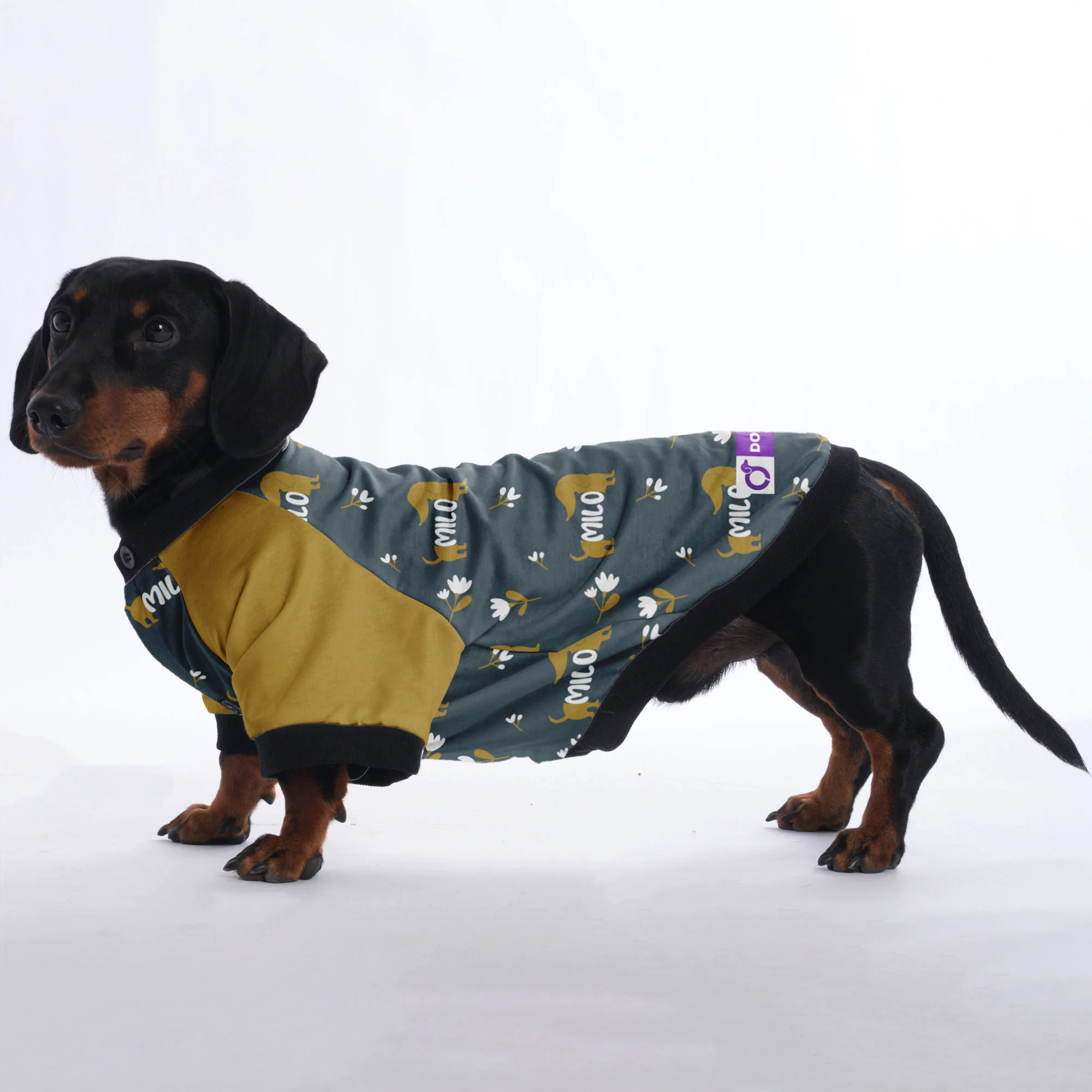 Custom Jacket for Dachshunds with Your Pet's Name Pattern - Image 2
