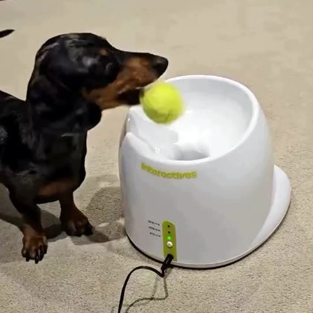 DachBall Automatic Tennis Ball Launcher for Dachshunds - Image 6