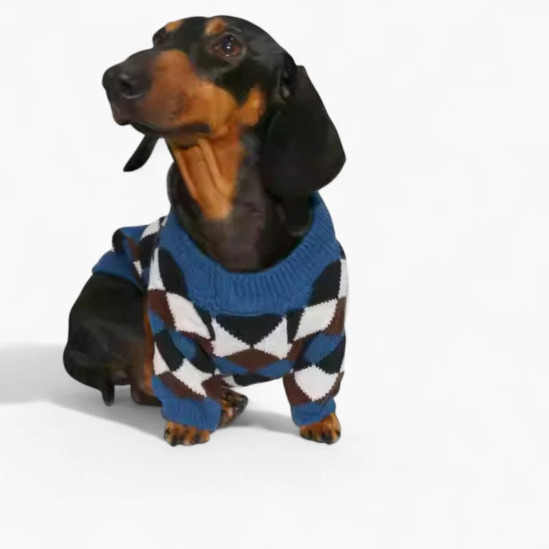 Britthund Dachshund Argyle Sweater – Cozy British-Style Winter Knit Pullover - Image 2
