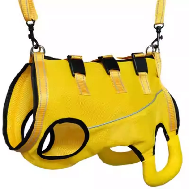 PawLift Dachshund Assist Belt – Support Harness for Elderly Disabled Dogs - Image 3