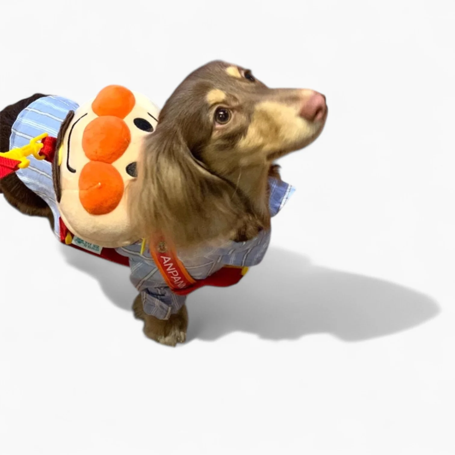 HarniBag Dachshund Backpack Harness – Cute Whimsical Plush Comfy Walks