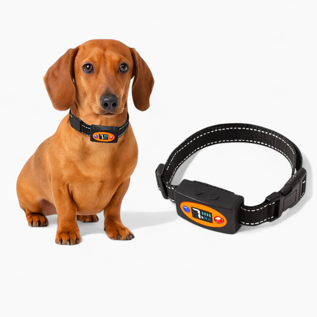 PawGuard Dachshund Bark Control Collar – Gentle Safe Anti-Barking Training Device