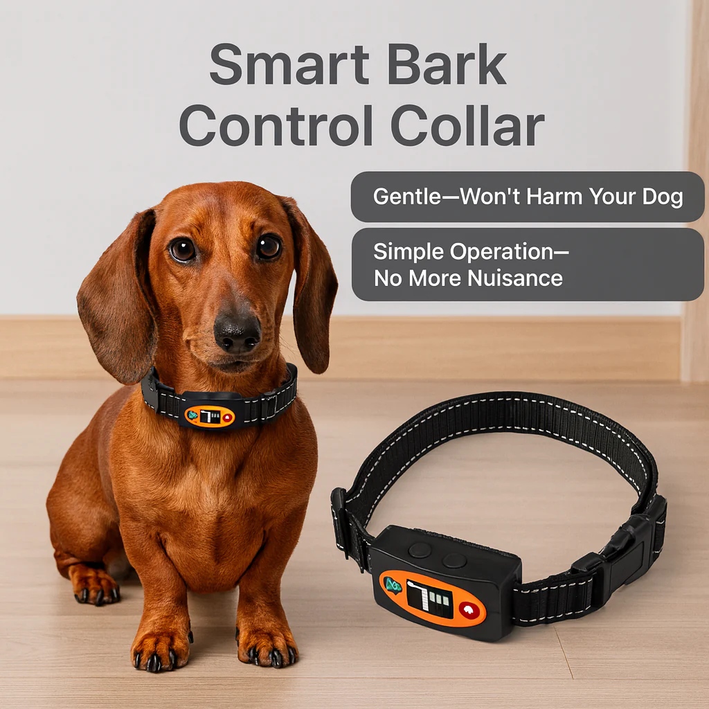 PawGuard Dachshund Bark Control Collar – Gentle Safe Anti-Barking Training Device - Image 3