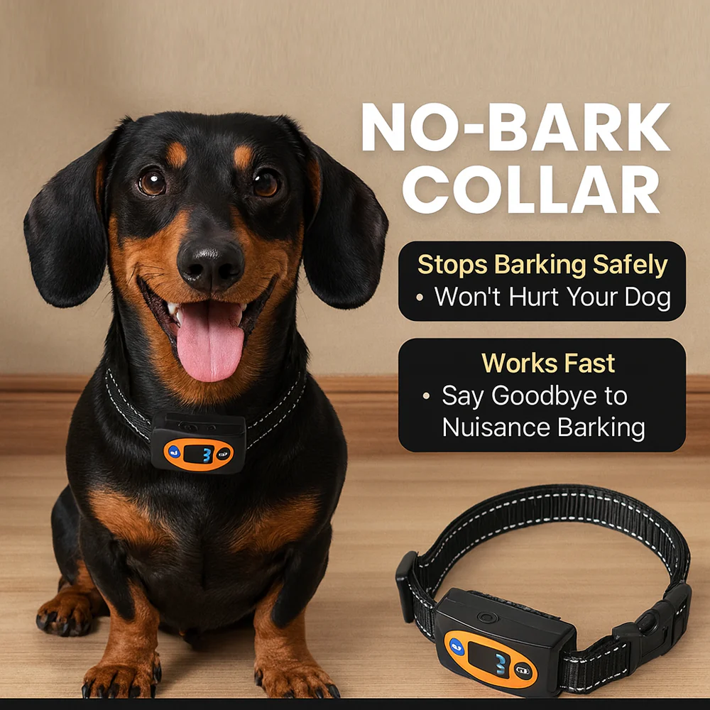 PawGuard Dachshund Bark Control Collar – Gentle Safe Anti-Barking Training Device - Image 5