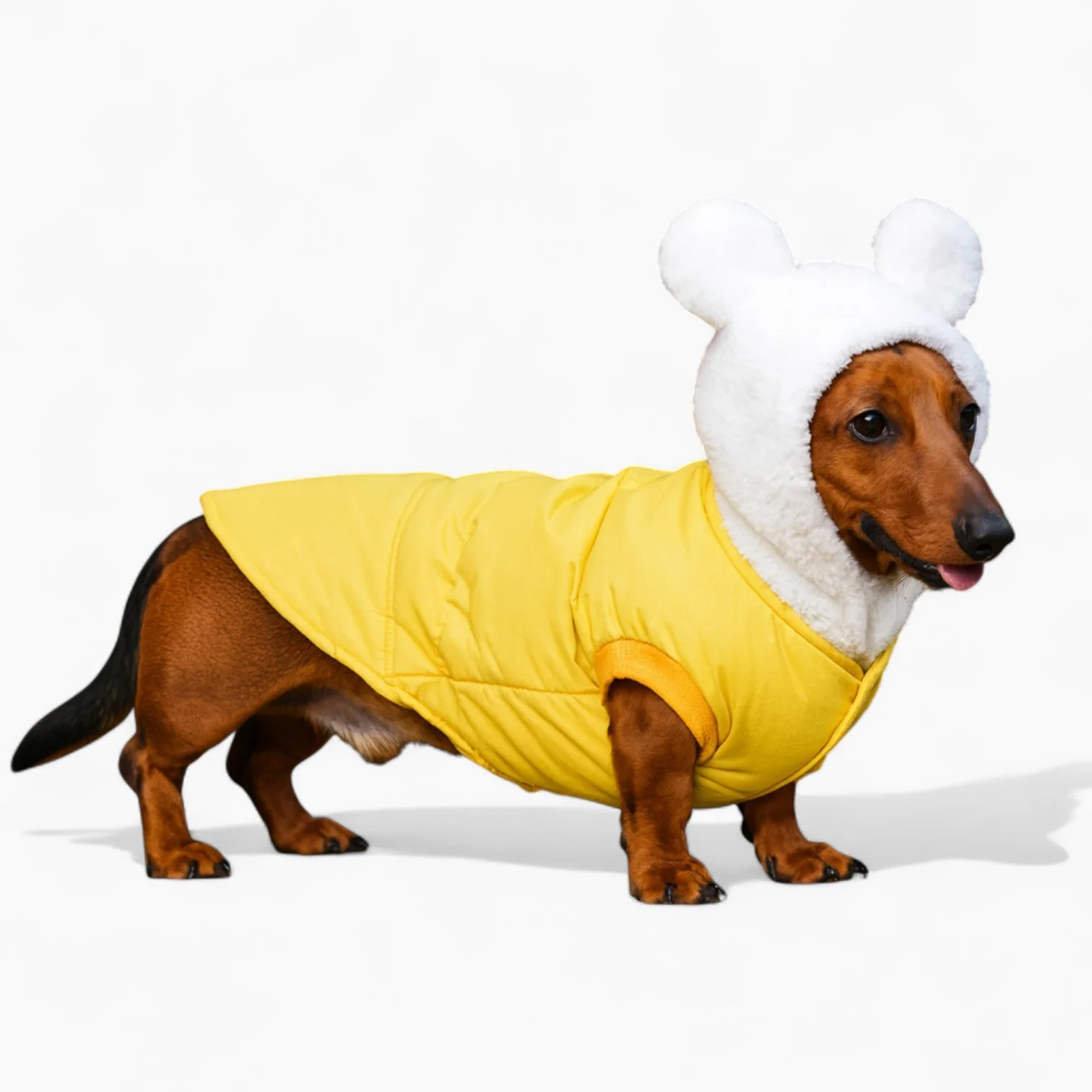 FurHaven Dachshund Bear Ear Jacket – Soft Waterproof Winter Dog Coat - Image 2